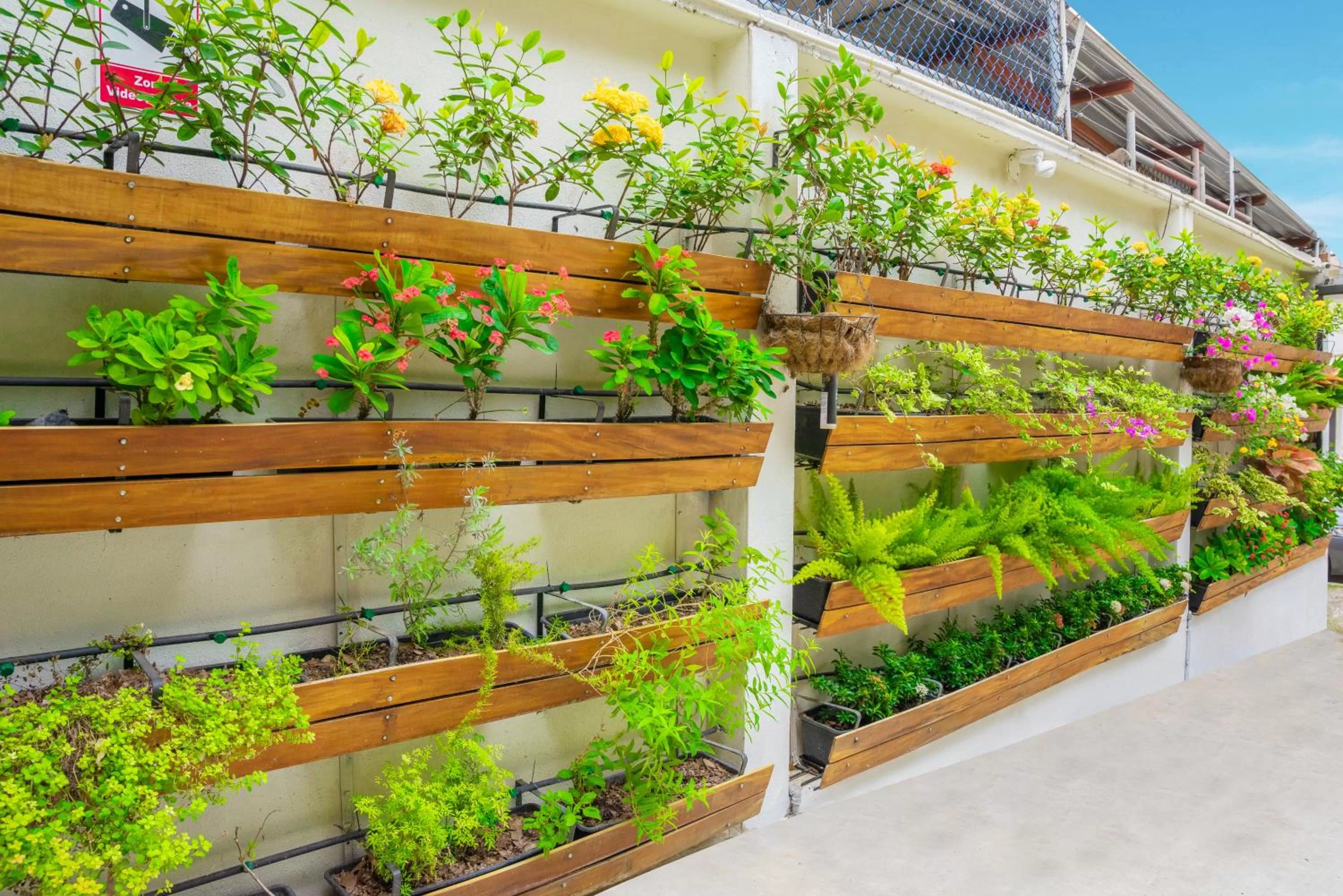 Garden, Property Building in Hotel Boutique Platanal