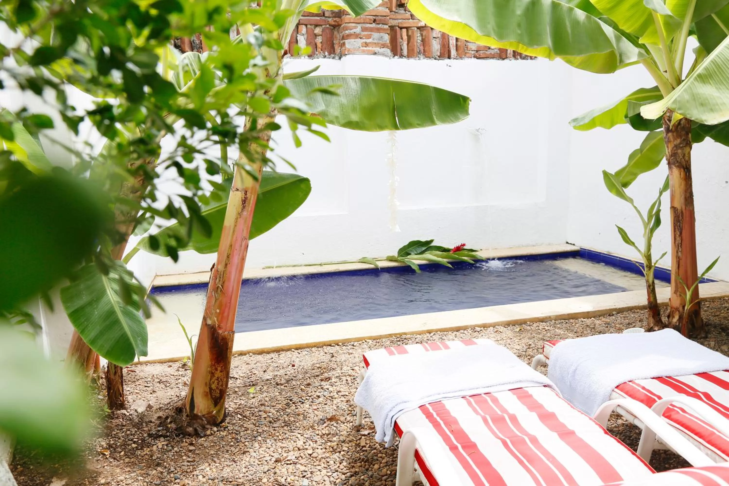 Day, Swimming Pool in Portal de la Marquesa