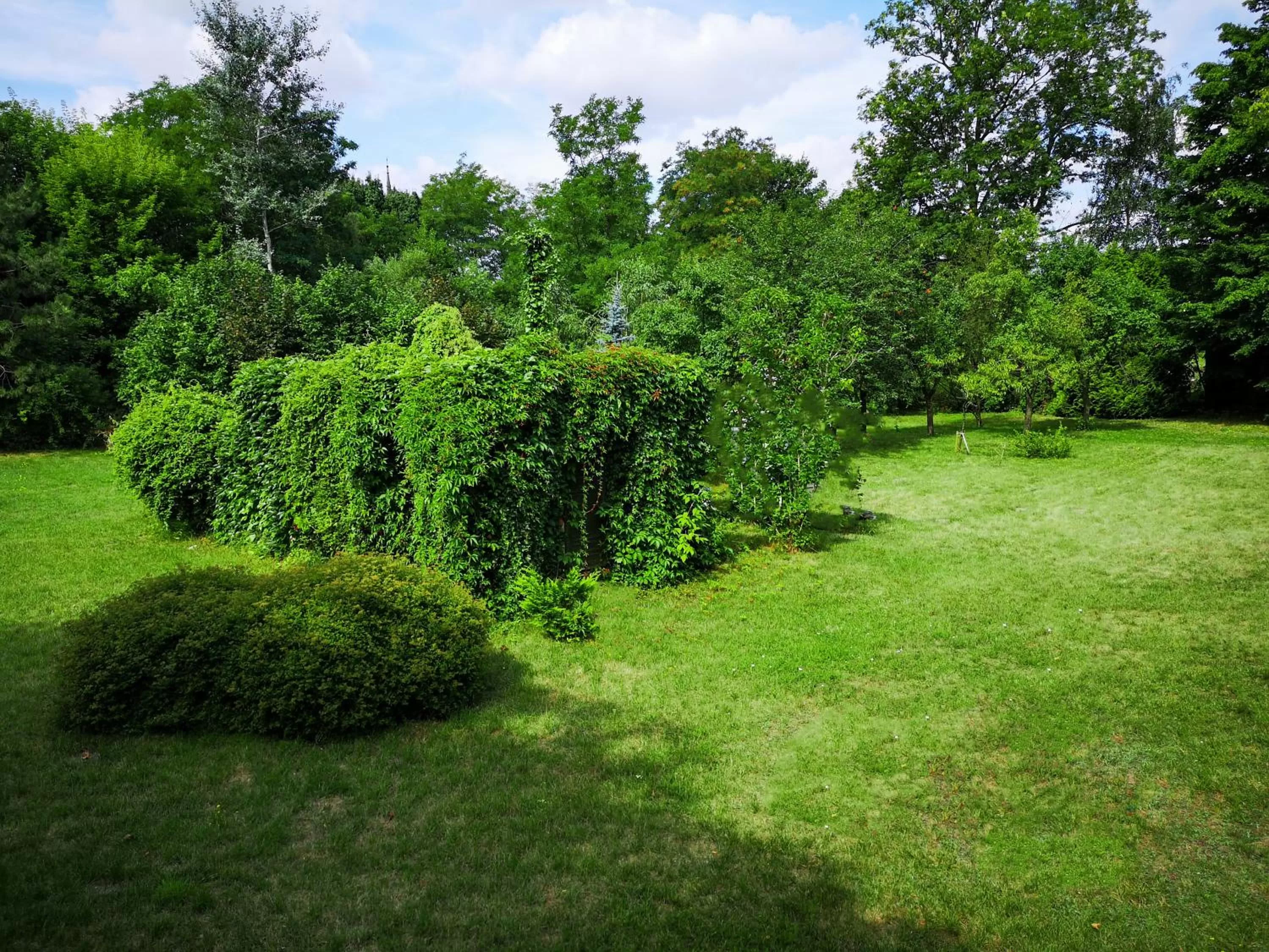 Garden in Willa Pory Roku