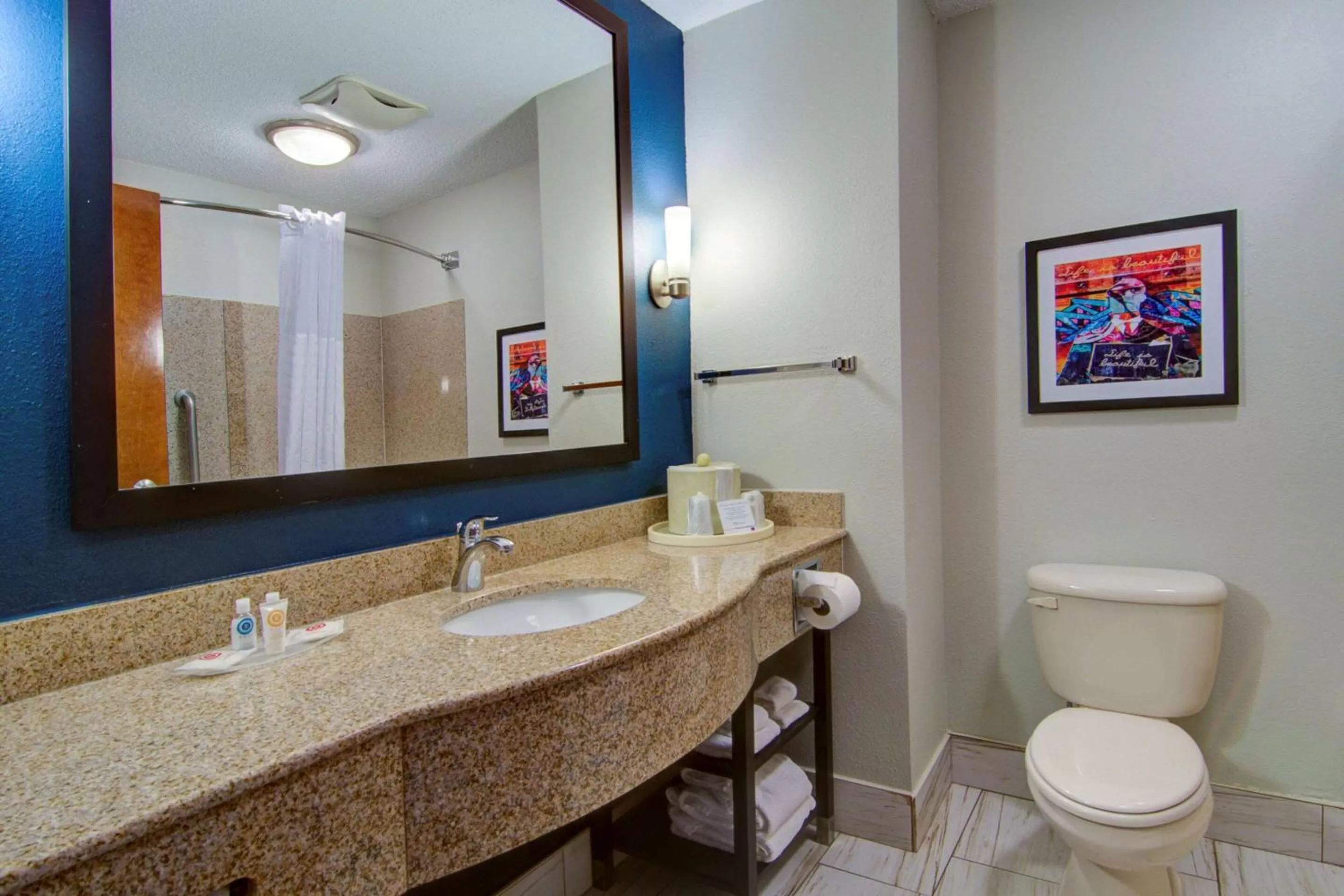 Bedroom in Comfort Suites Newport News Airport