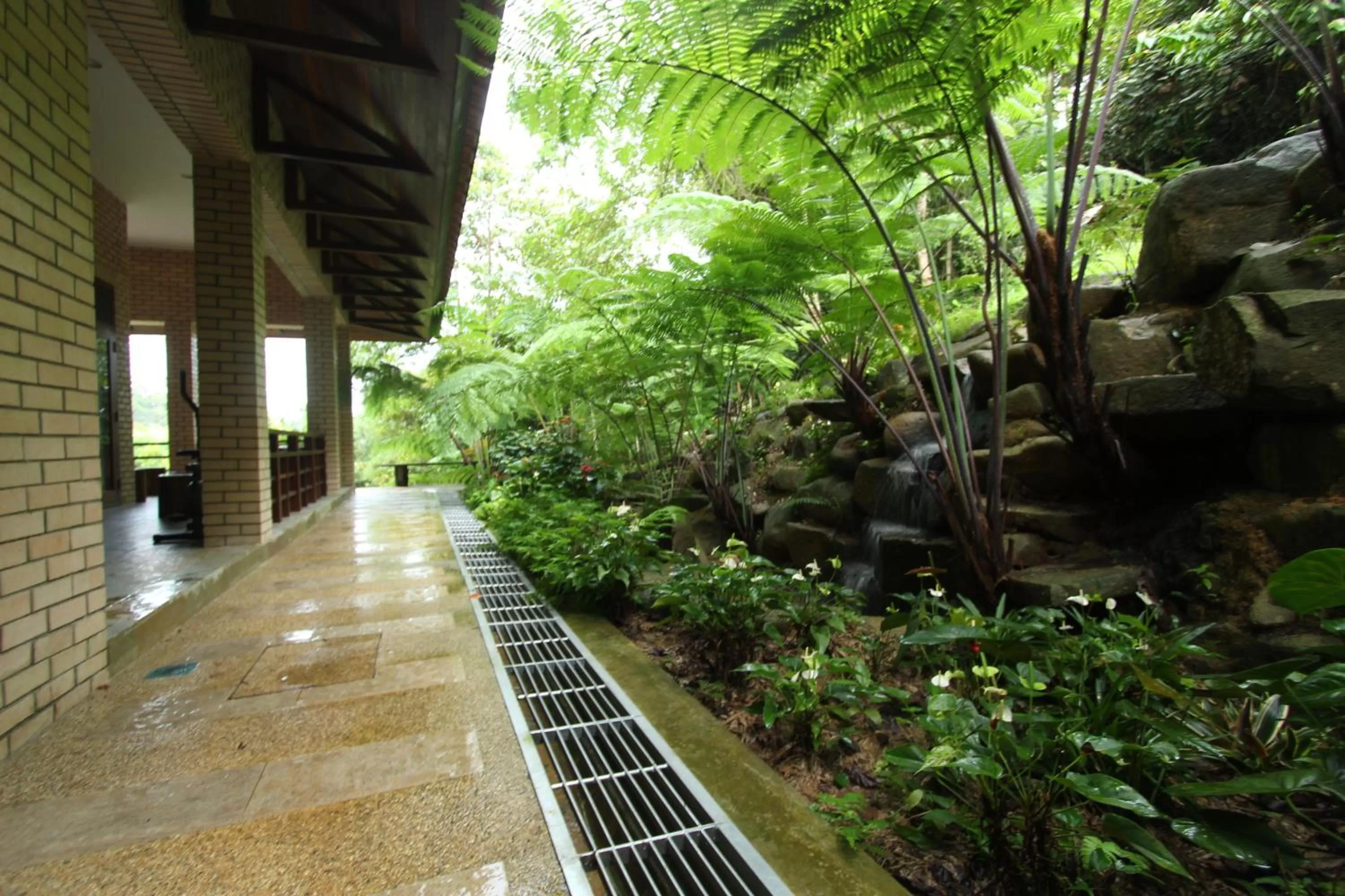 View (from property/room) in Harmony Valley Retreat