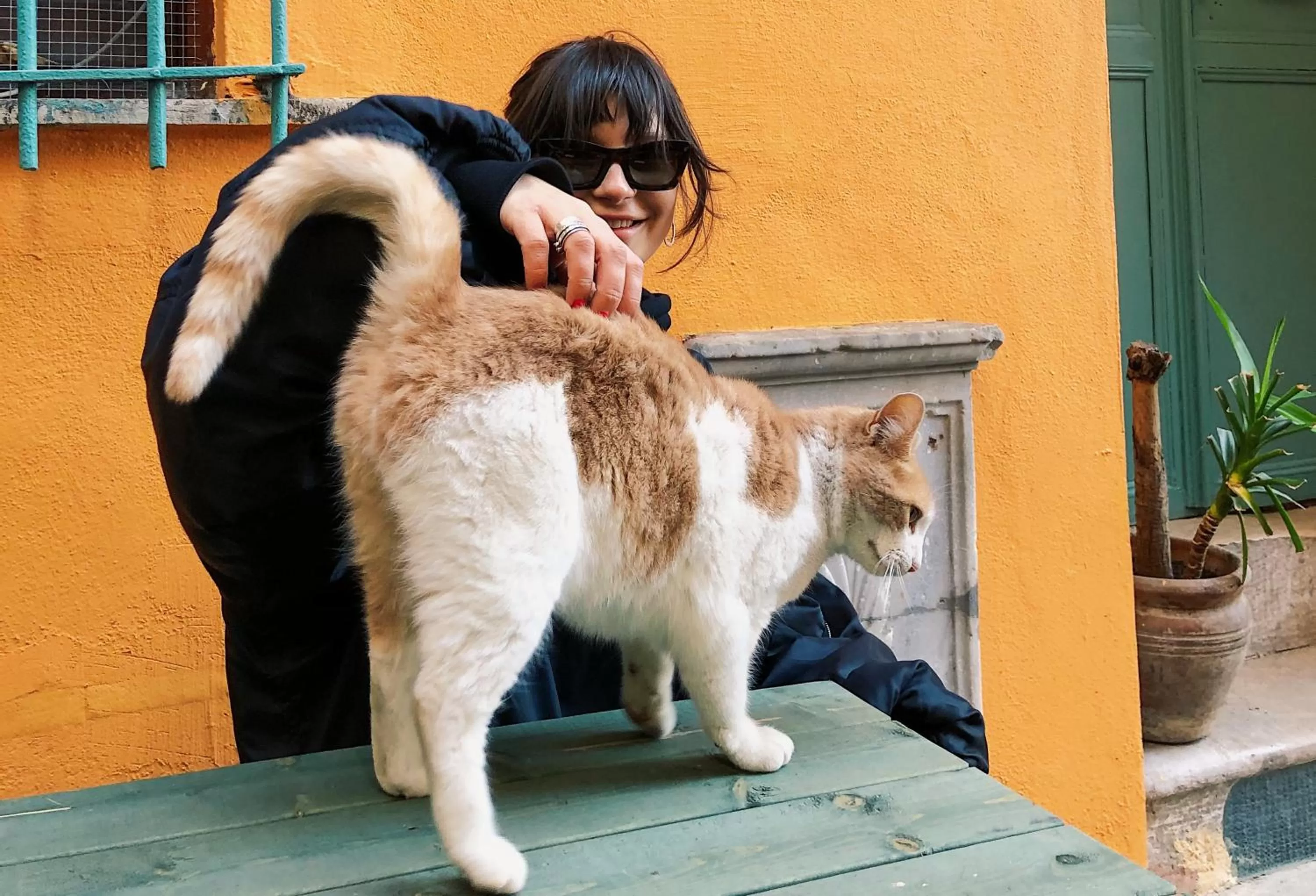 People, Pets in House MOLA Galata