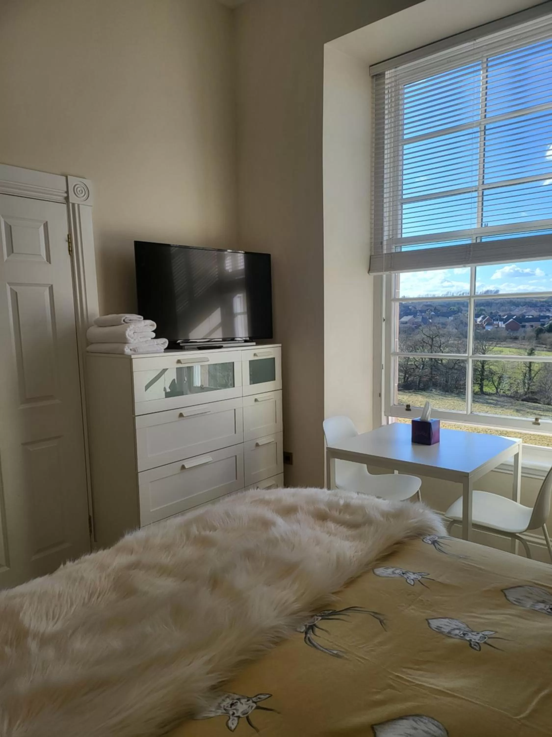 TV/Entertainment Center in Langhouse Castle Bed and Breakfast