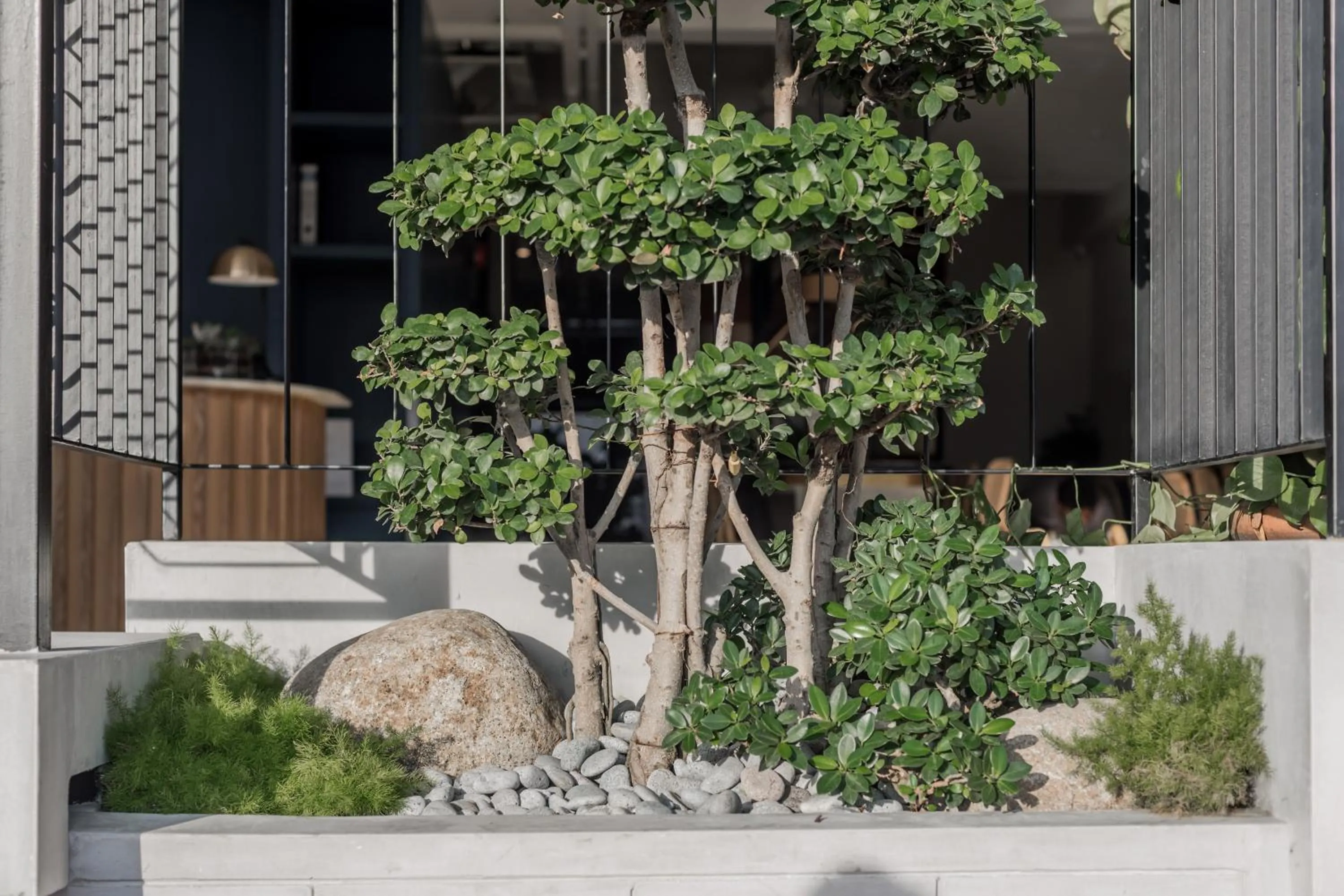 Garden view in Bunk & Bilik Hotel Jalan Ipoh