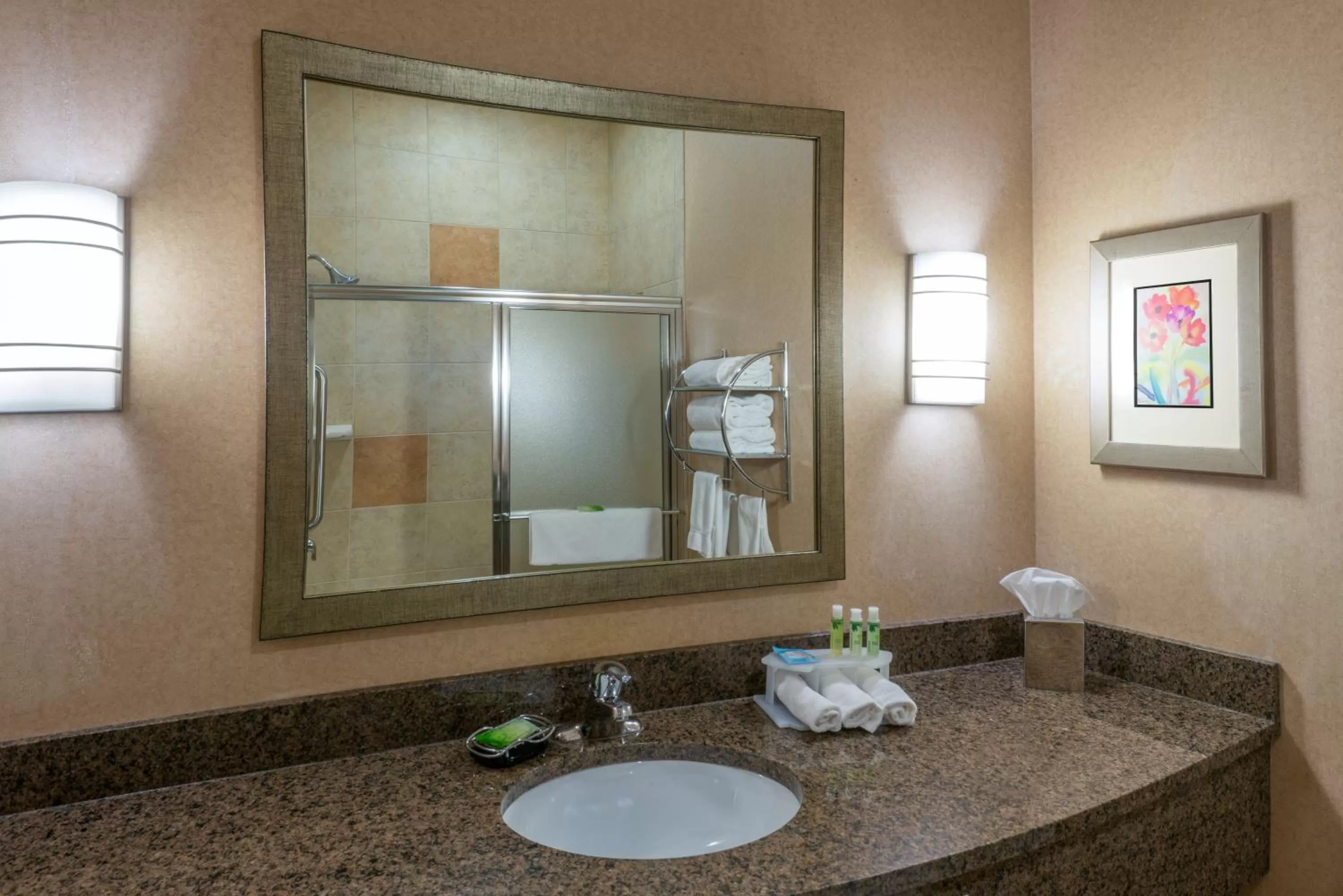 Bathroom in Holiday Inn Express Hotel Vernal by IHG