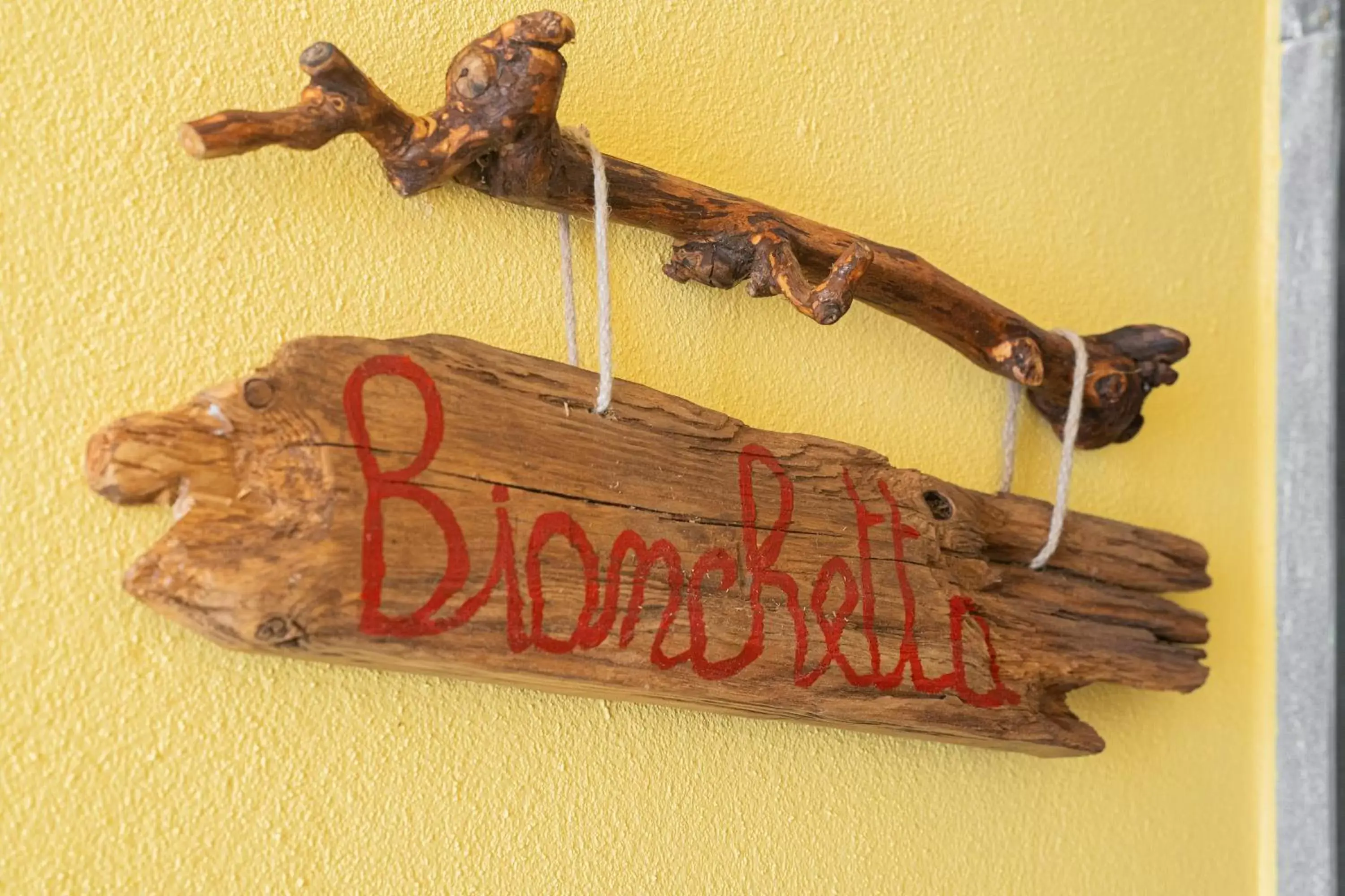 Deluxe Apartment in Villa Lice Verici Deluxe Apartment in Villa Lice Verici