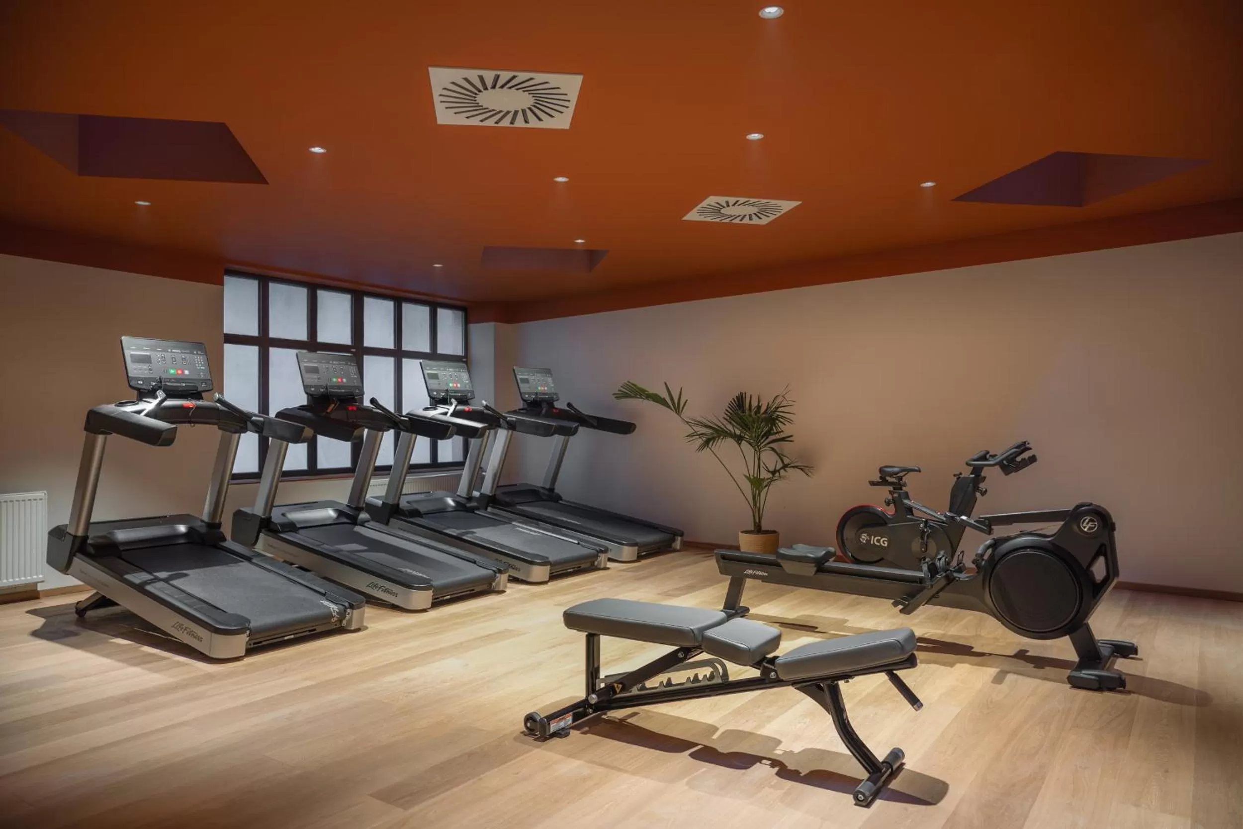 Fitness centre/facilities in Almanac X Alcron Prague