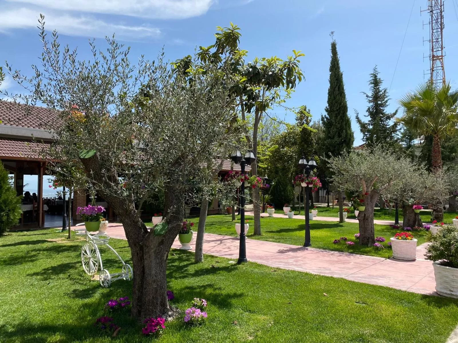 View (from property/room) in Ardenica Boutique Hotel