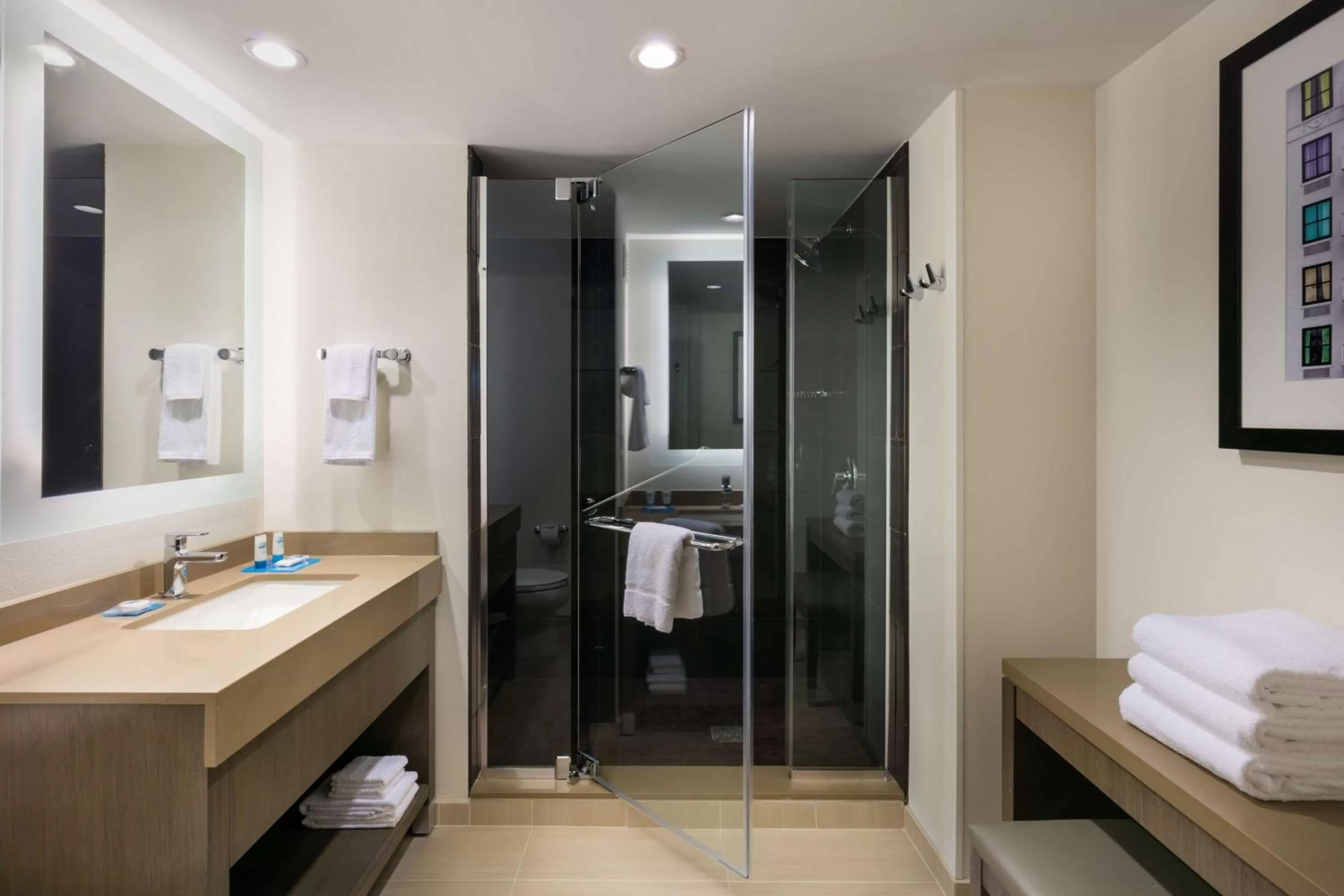 Bathroom in Hyatt House Charleston - Historic District