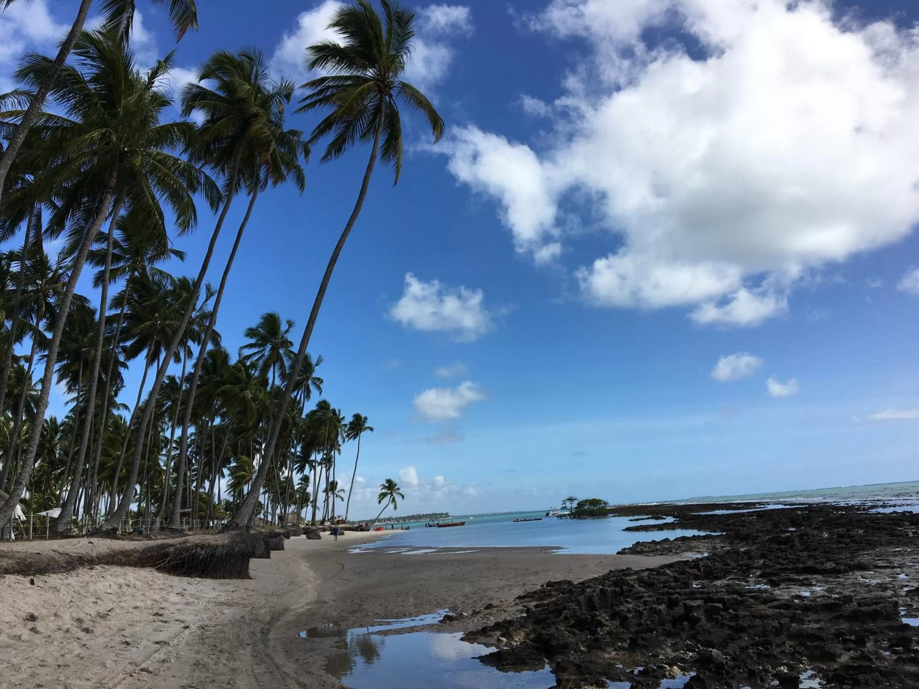 Location in Praia dos Carneiros apart beira-mar