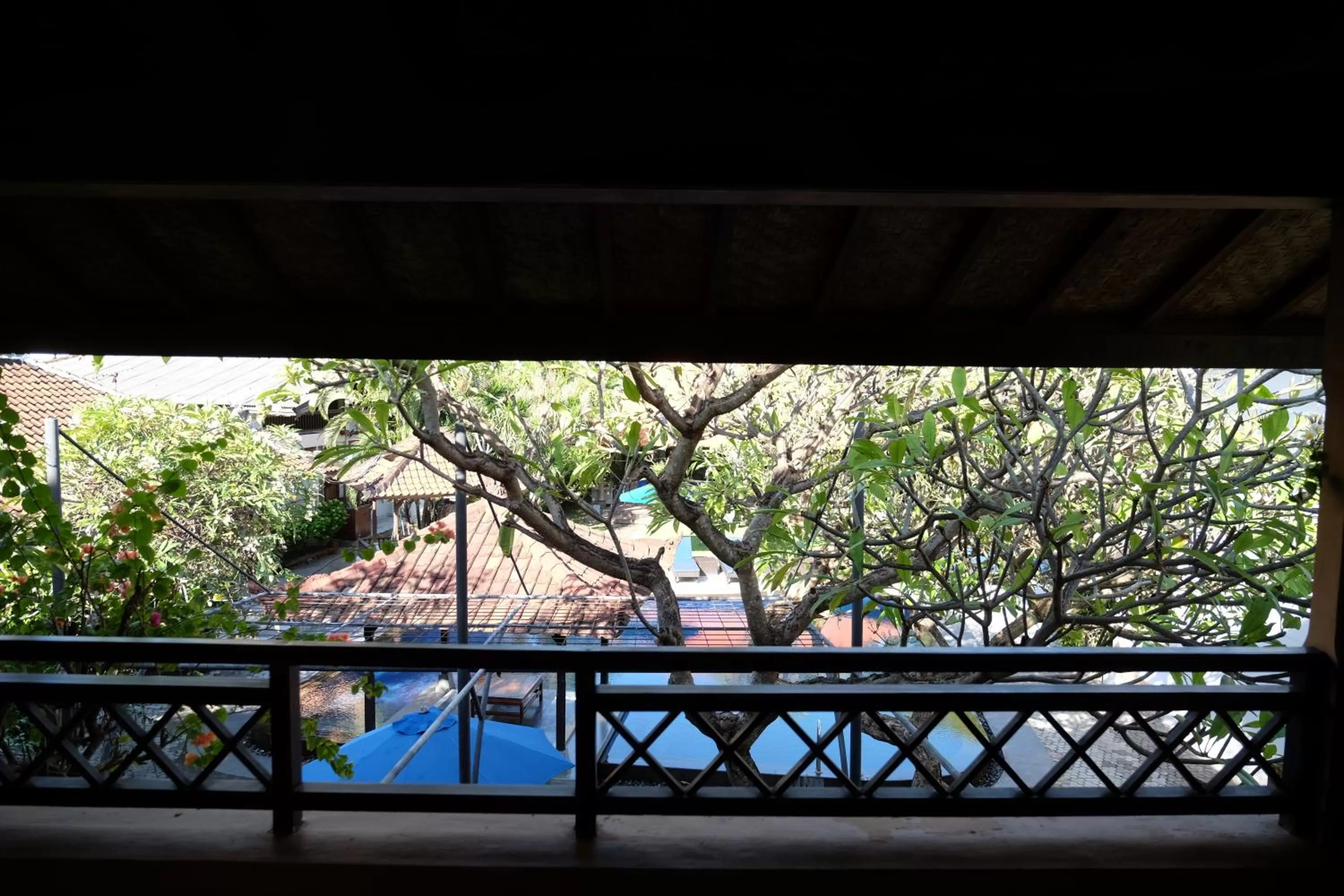 Pool view in Fat Yogi Cottages