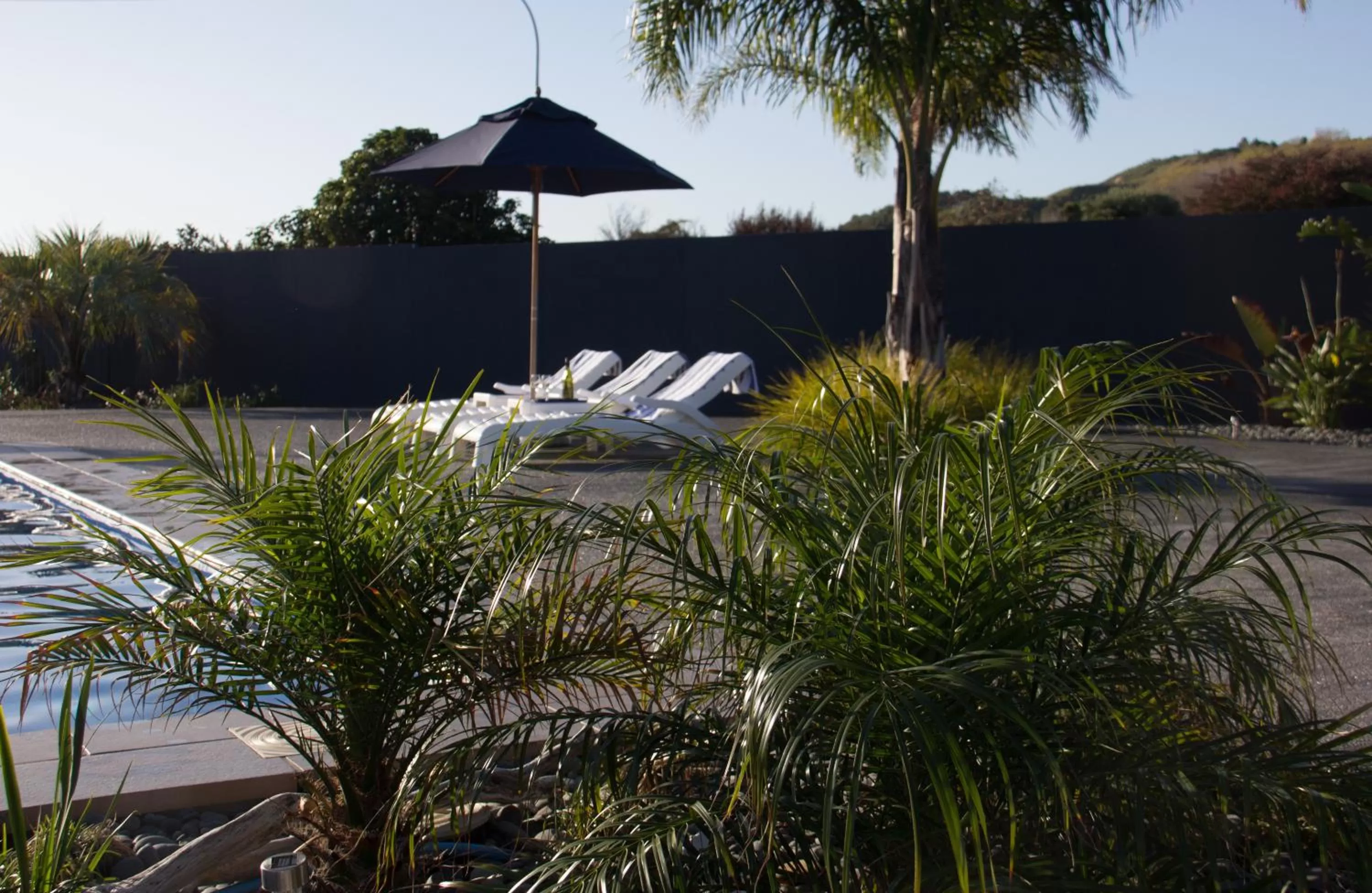 Swimming pool in Motel Oasis