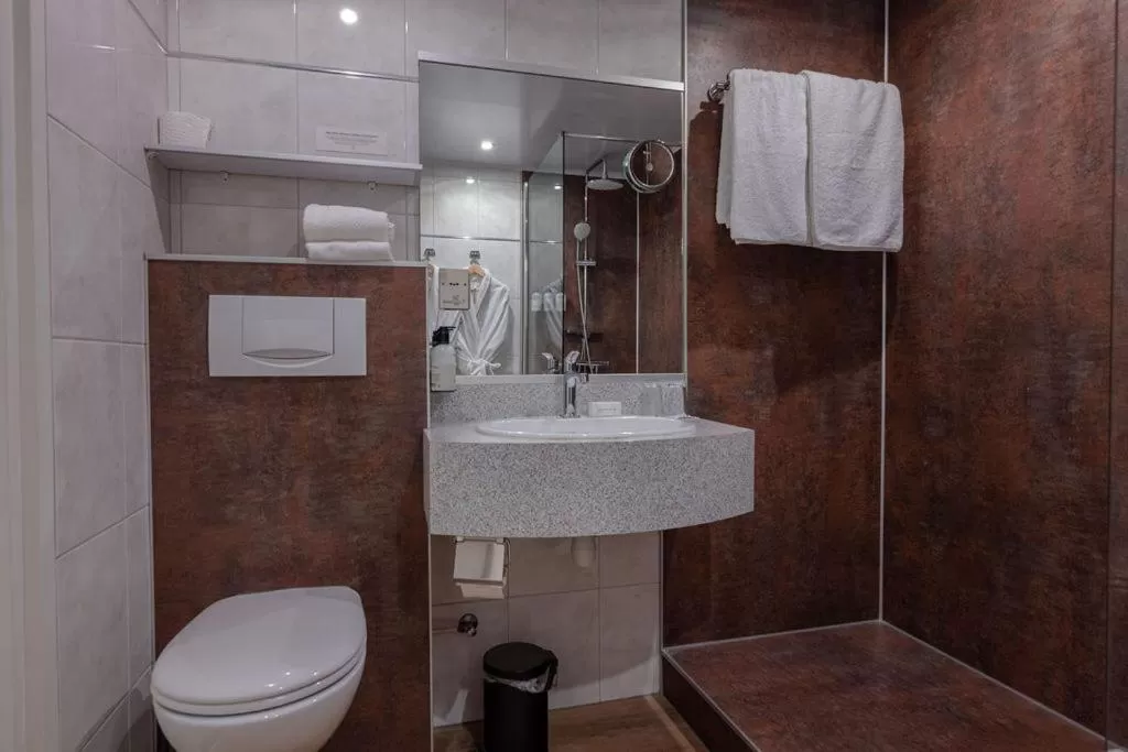 Bathroom in Boutique Hotel Slenaker Vallei - Buitengewoongenieten