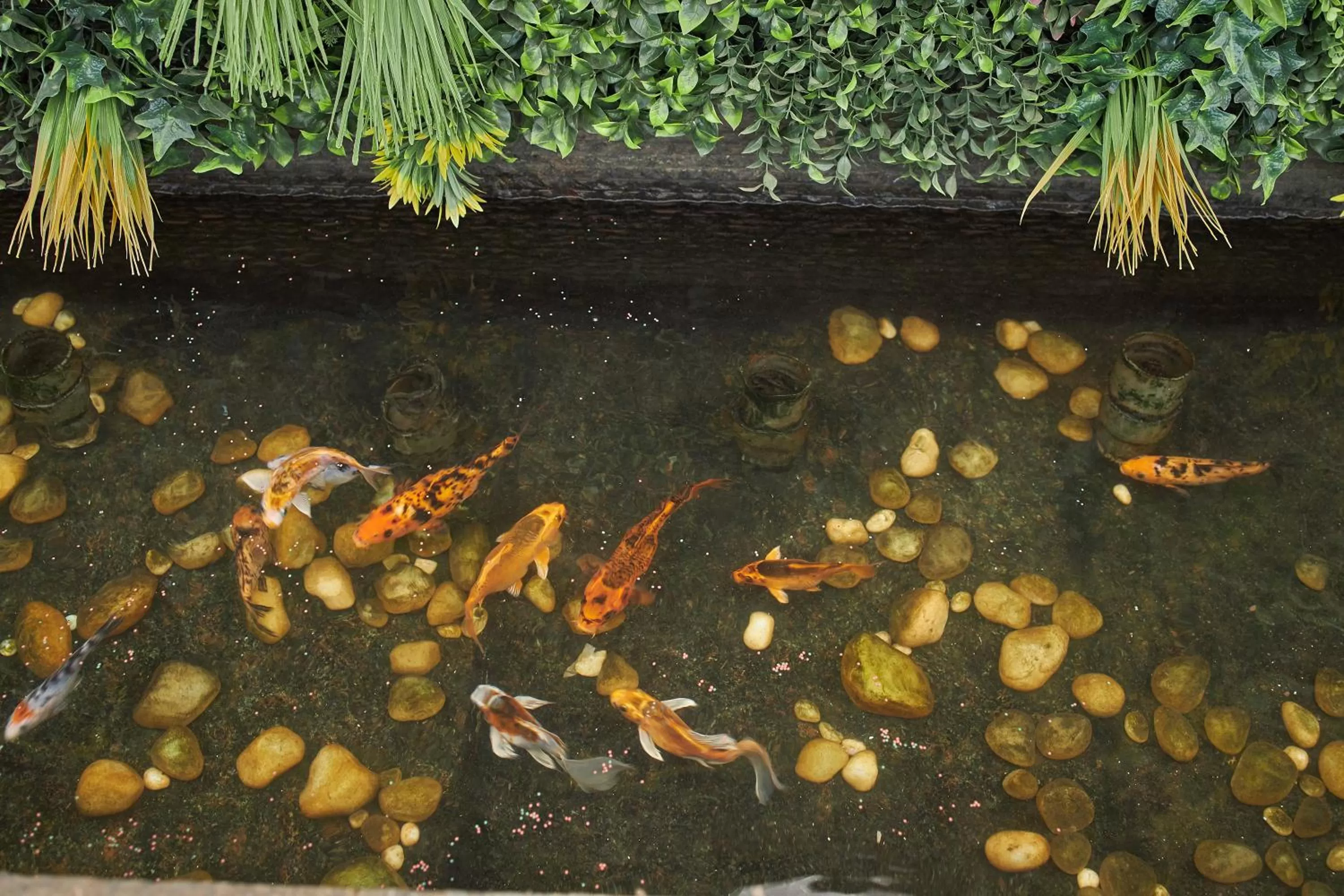 Garden in Royal Orchid Central Grazia, Navi Mumbai