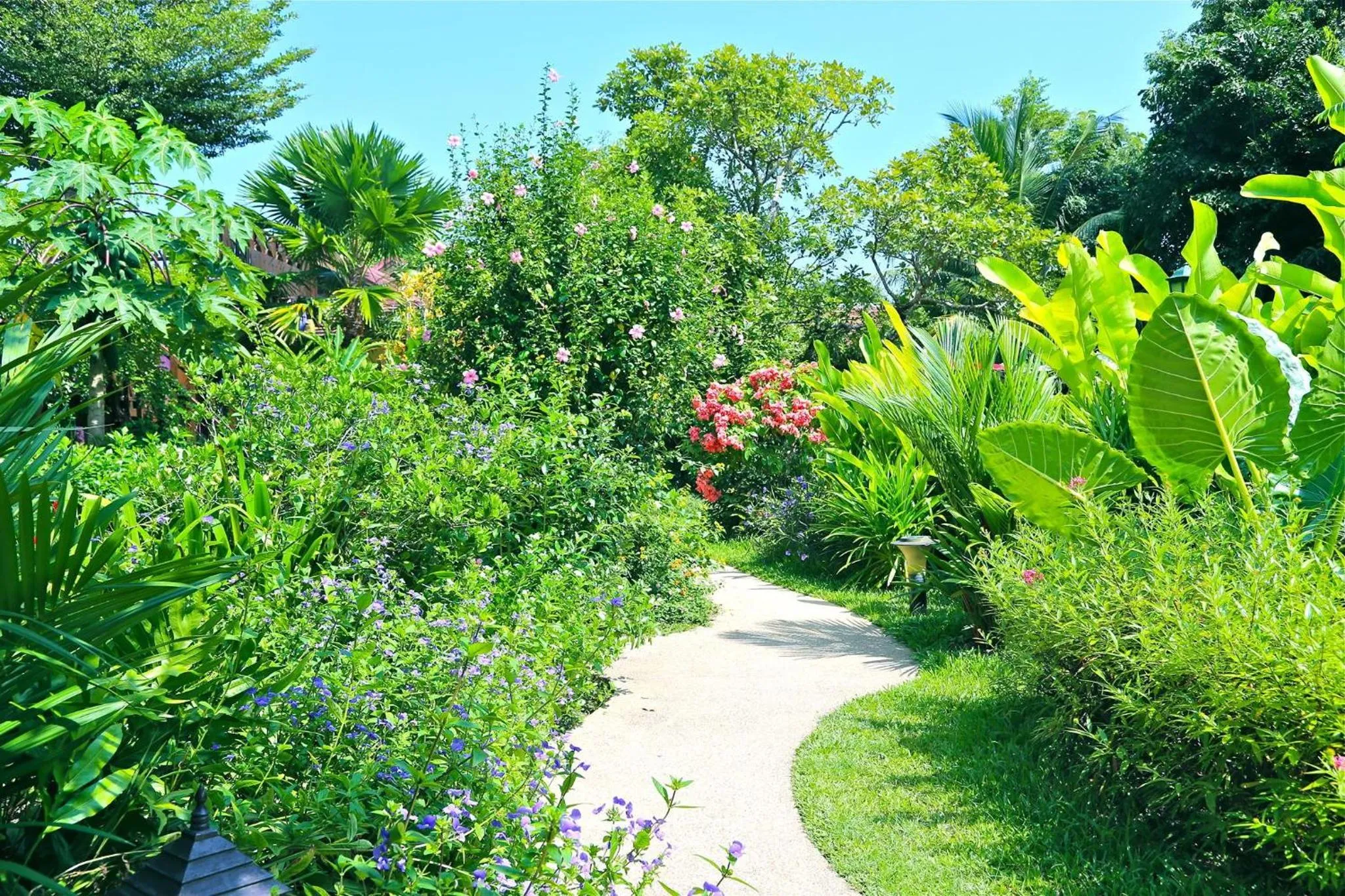 Garden in Oriental Siam Resort - SHA Extra Plus Certified