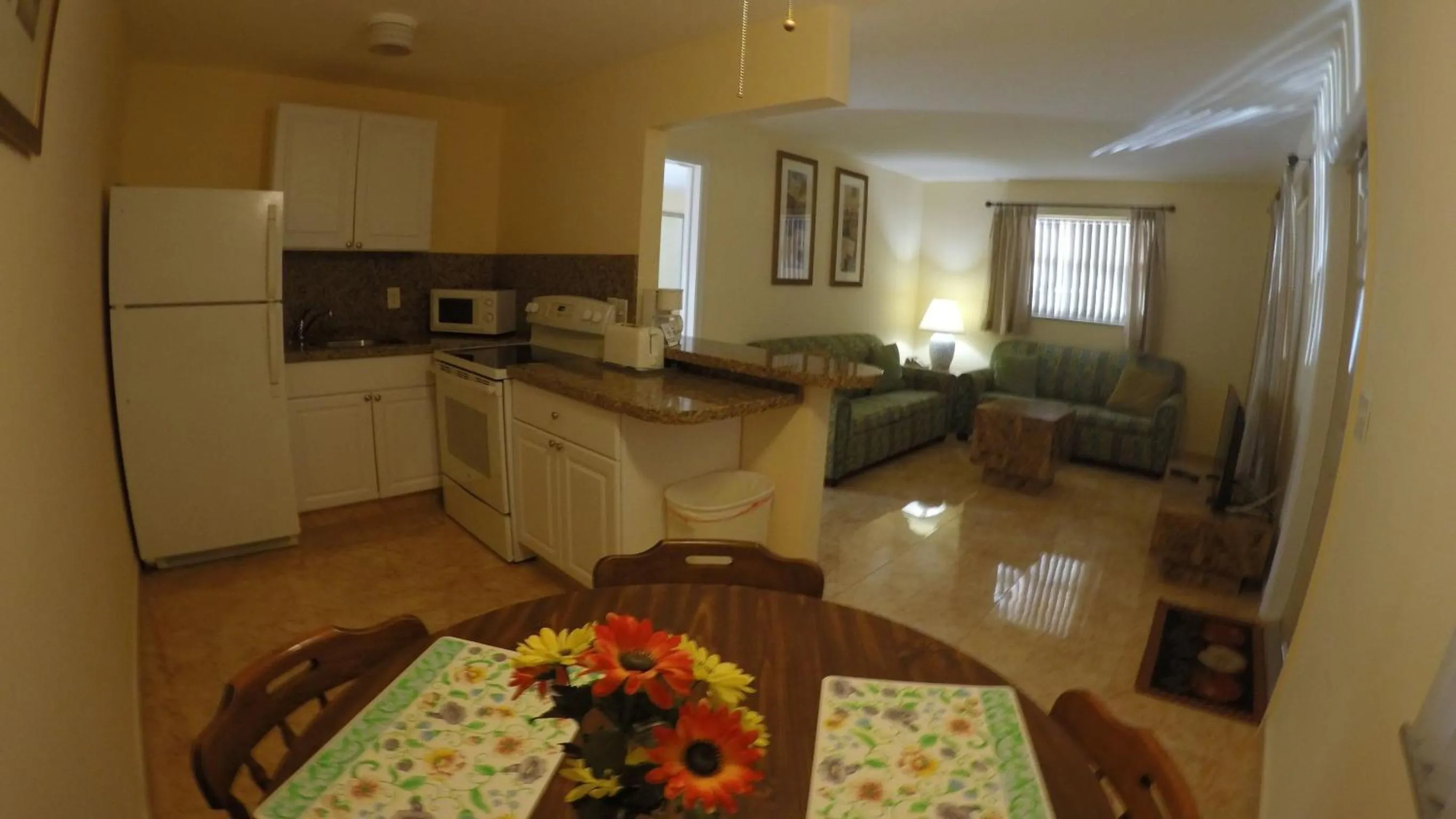 Kitchen or kitchenette in Lago Mar Motel and Apartments