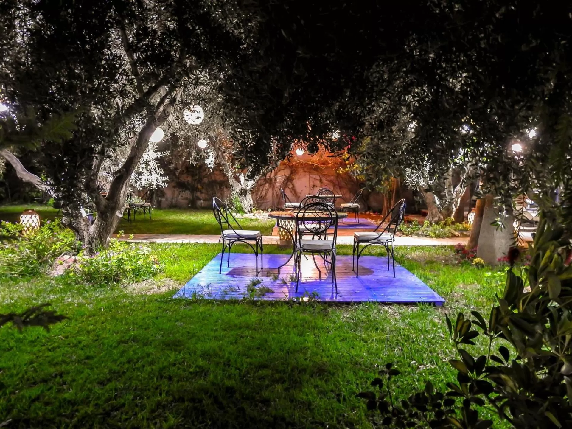 Night, Garden in Le Bleu House