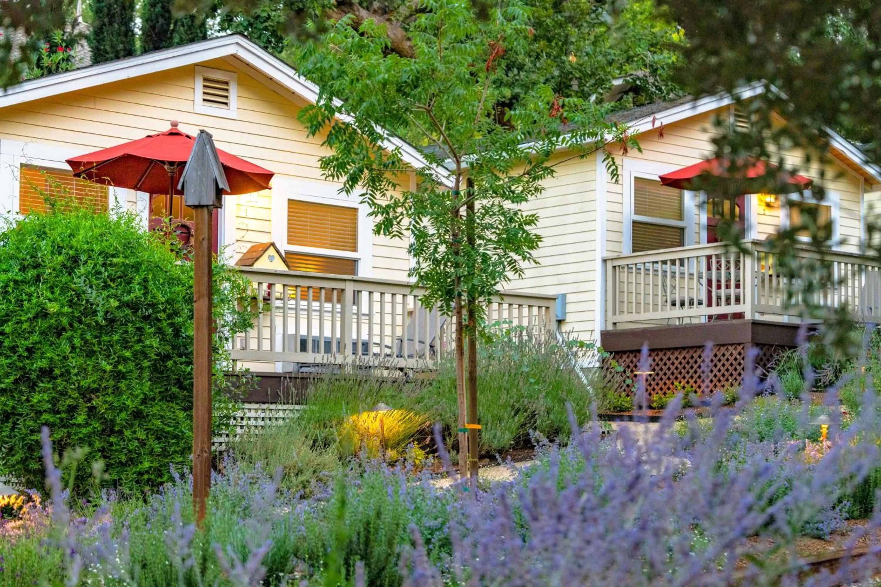 Property building in Aurora Park Cottages
