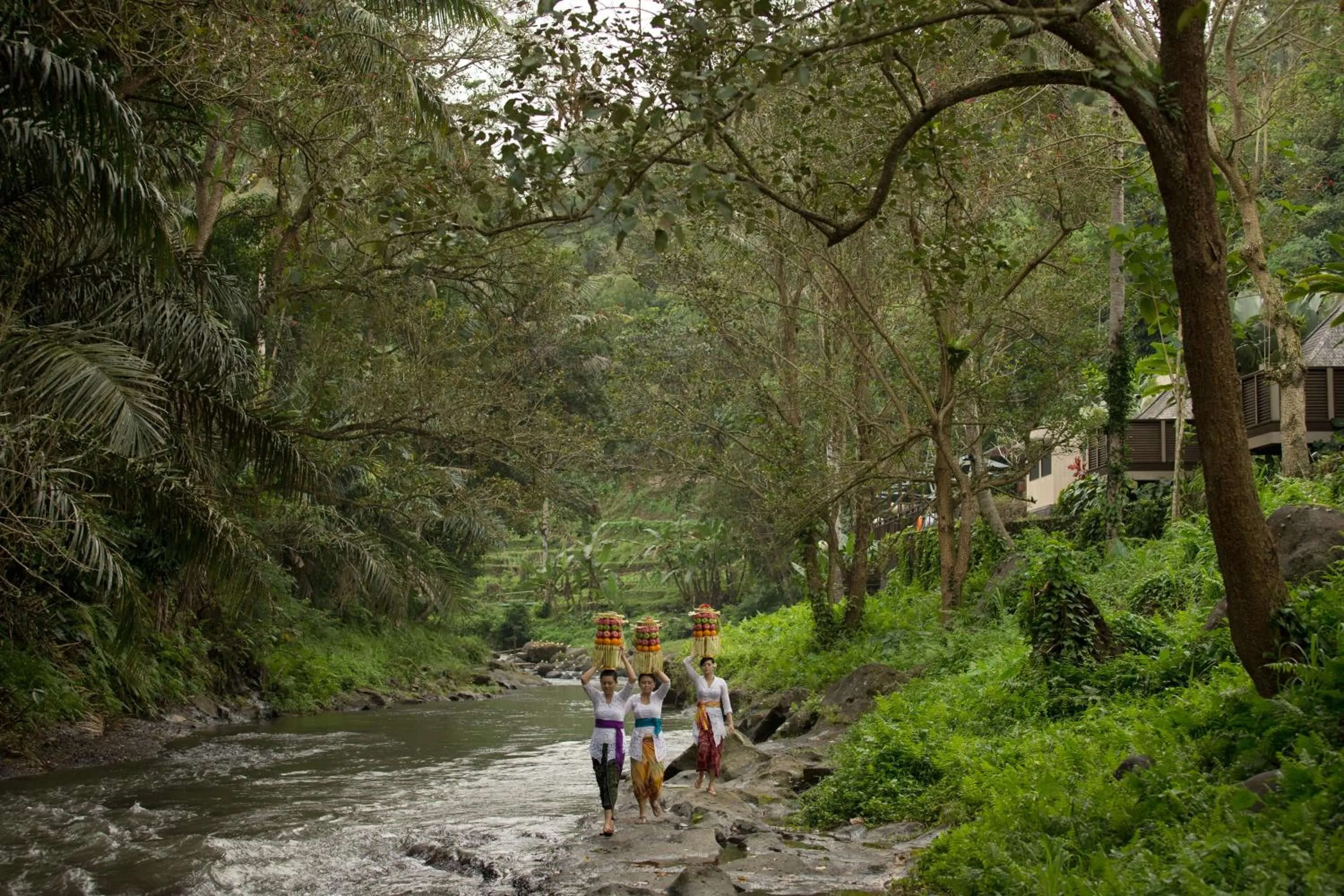 Other in The Samaya Ubud