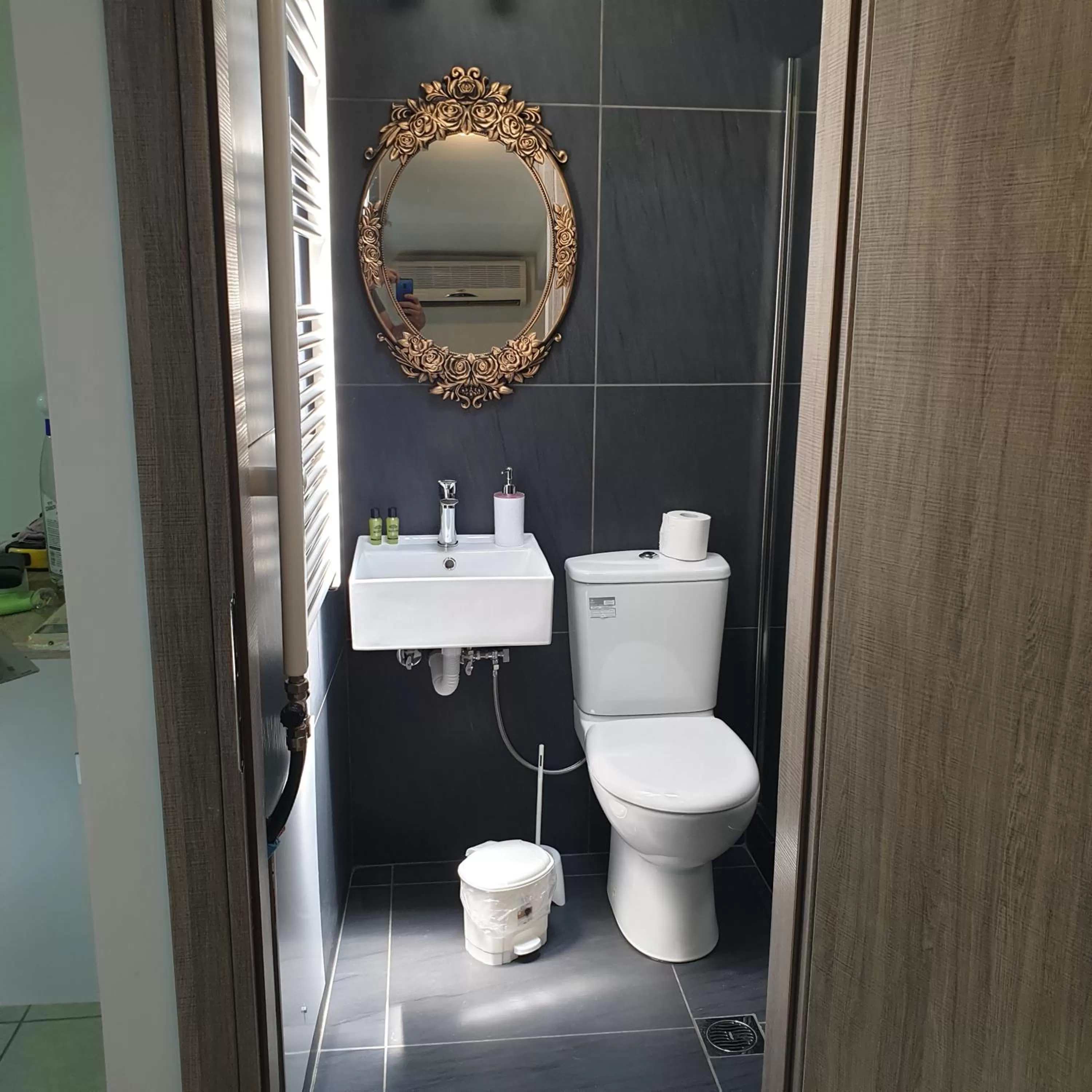 Shower in Alexia's Apartments