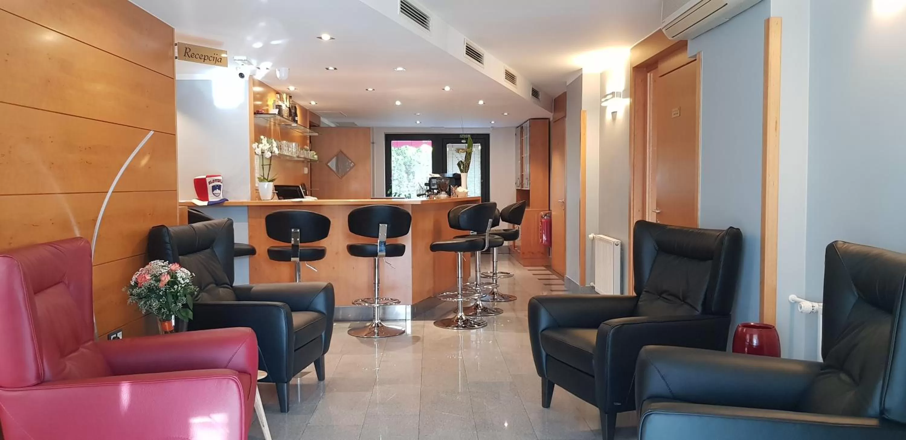 Lounge or bar, Lobby/Reception in Hotel GH Kolinska