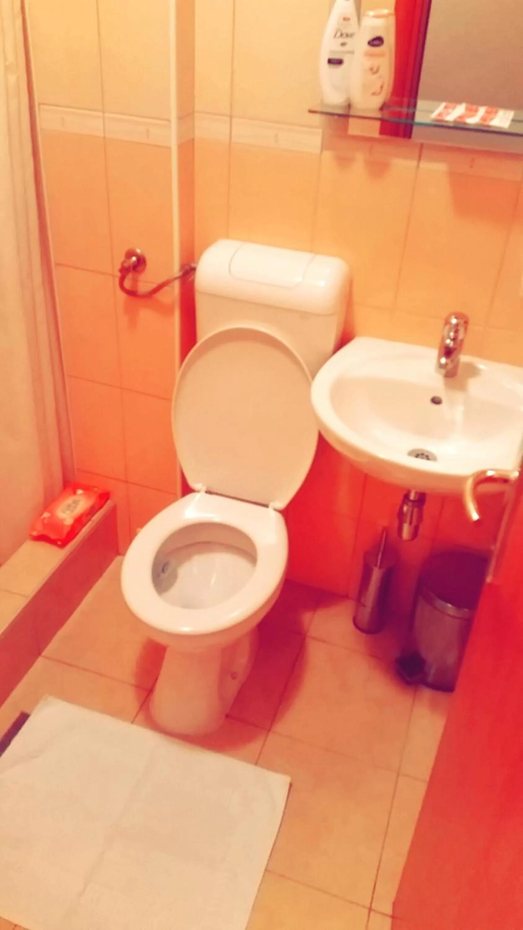 Bathroom in Motel Aura