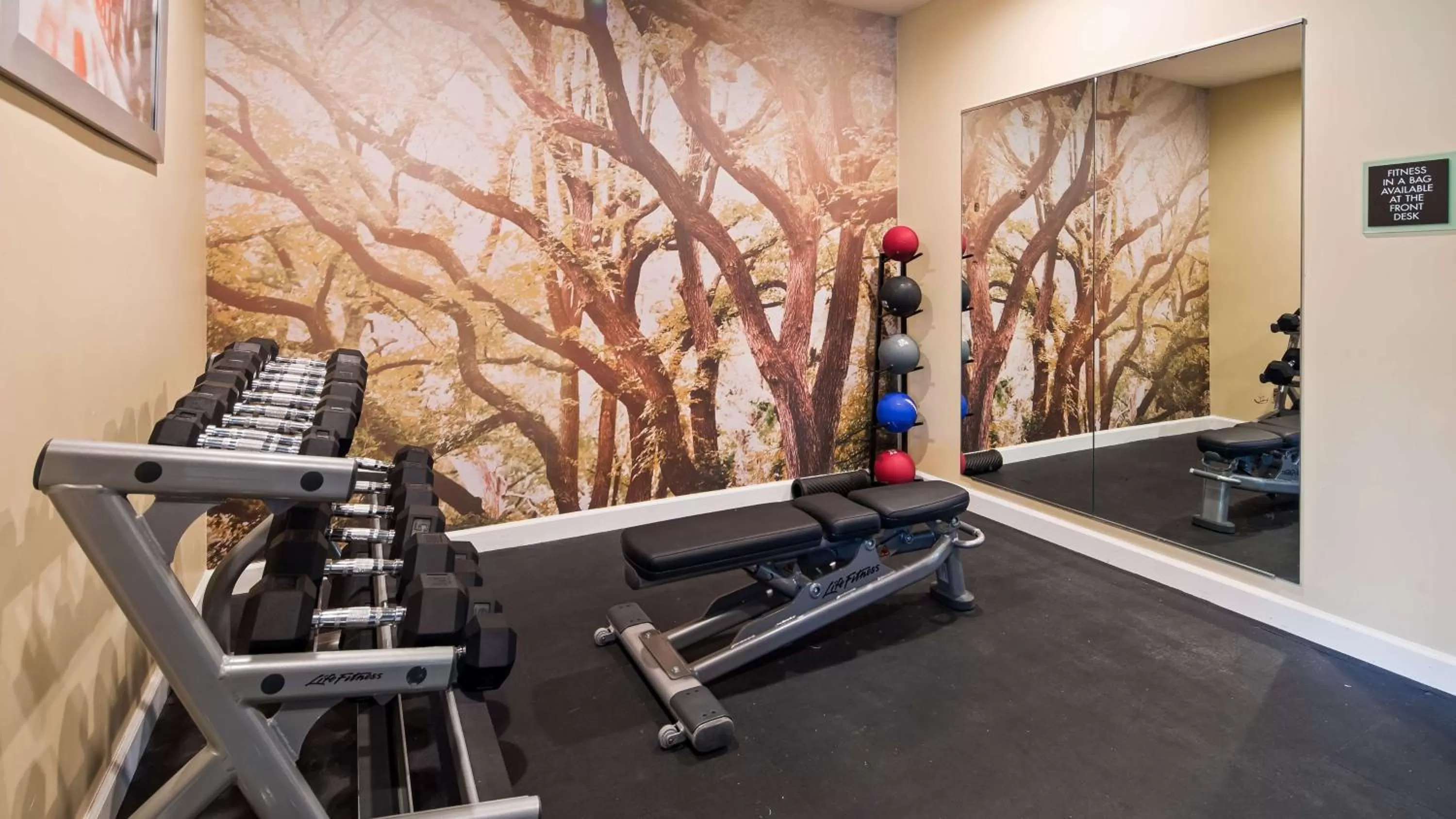 Fitness centre/facilities in Best Western Plus Harrisburg Mechanicsburg