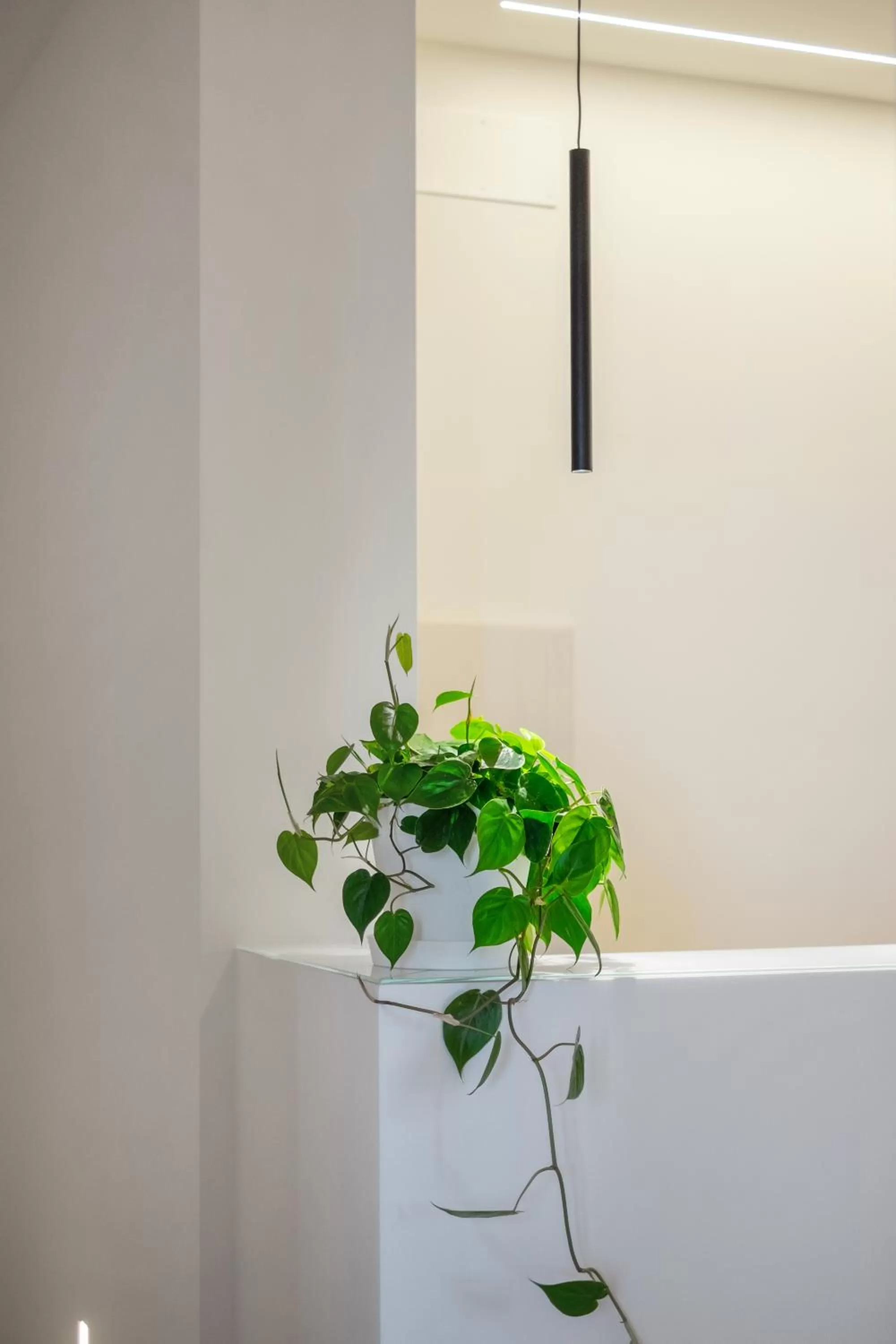 Lobby or reception in Mori's b&b