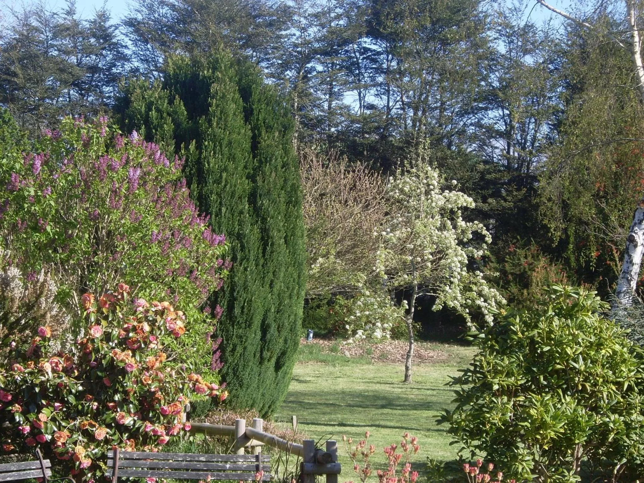 Garden, Natural Landscape in Hostal Zapato Amarillo