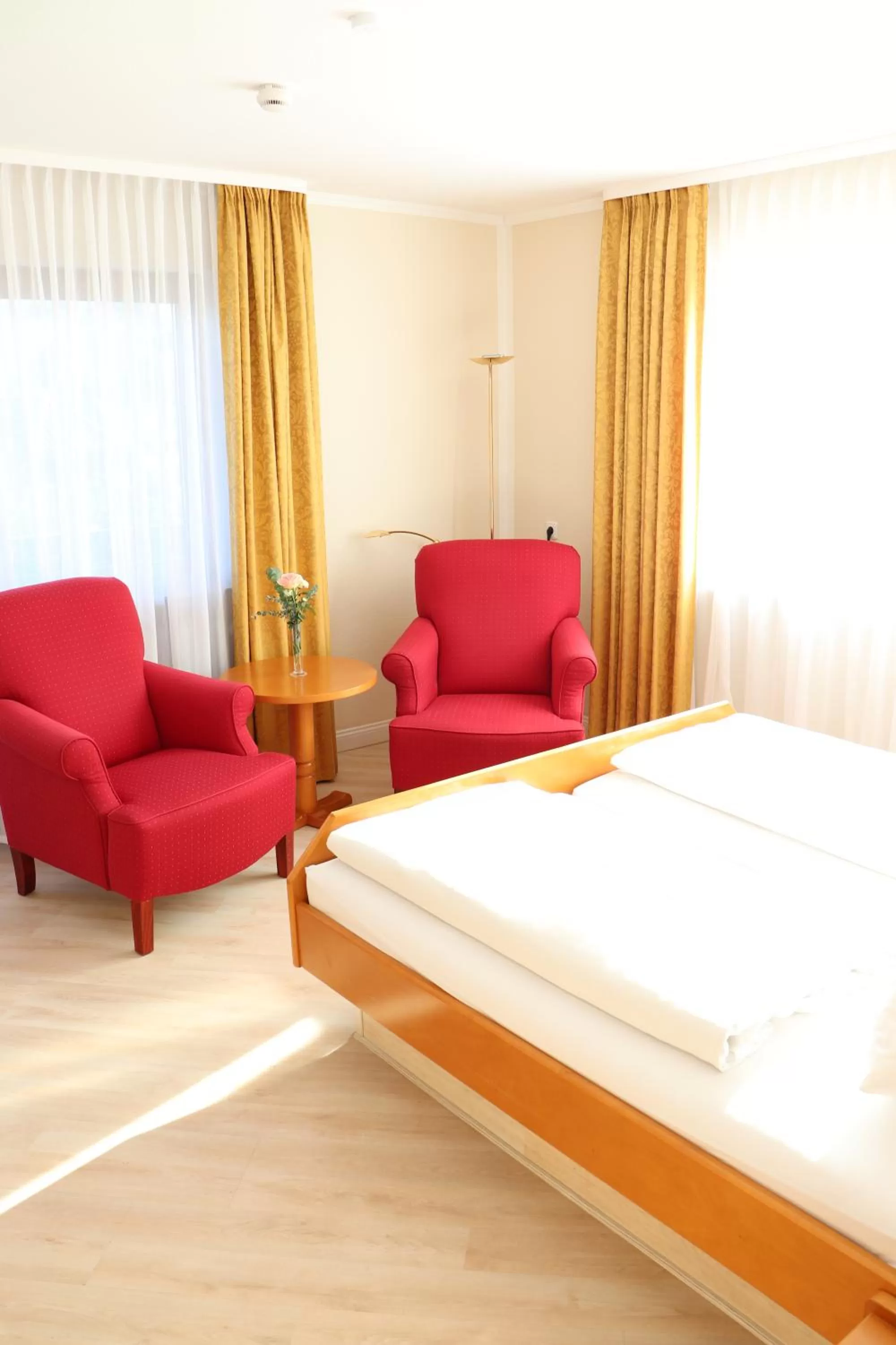 Photo of the whole room in Hotel Rose