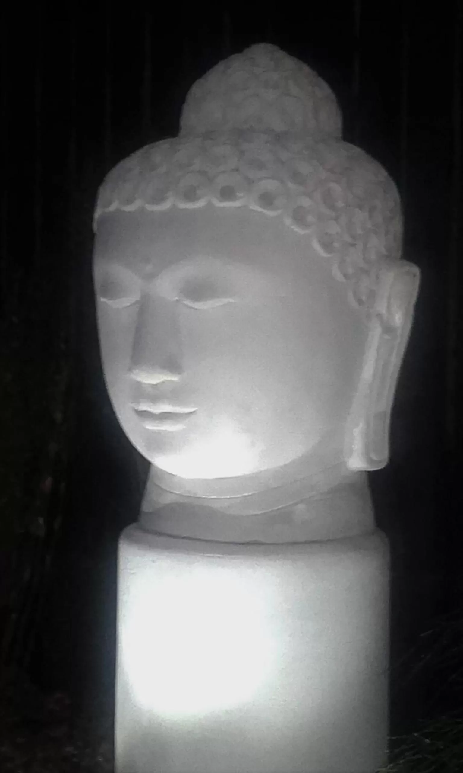 Patio in Harbour View Cottage