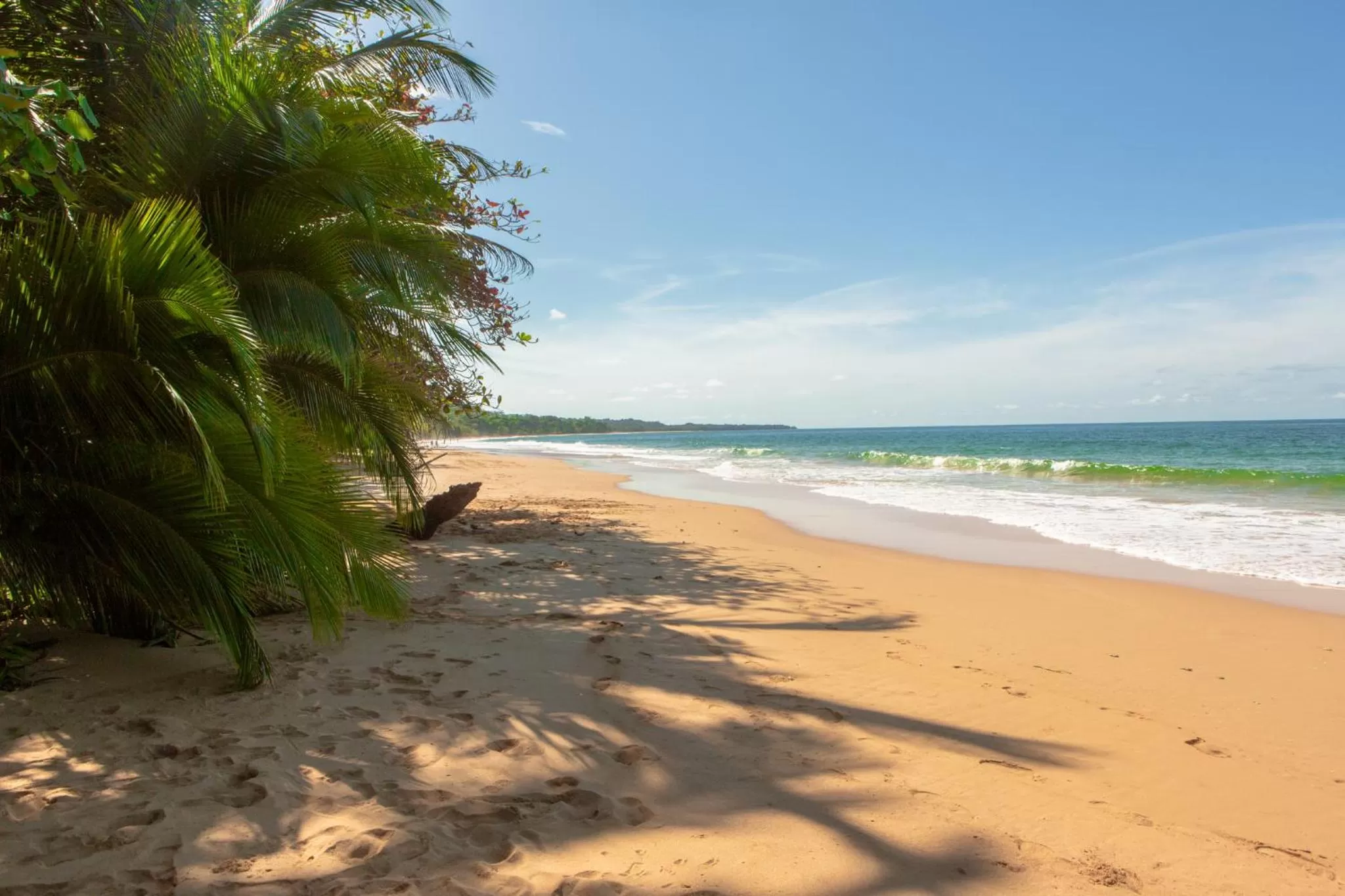 Beach in La Coralina Island House
