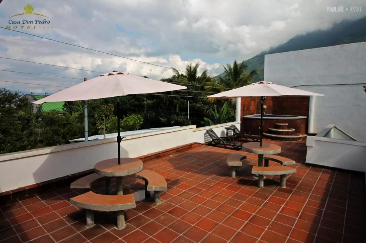 Hotel Casa don Pedro