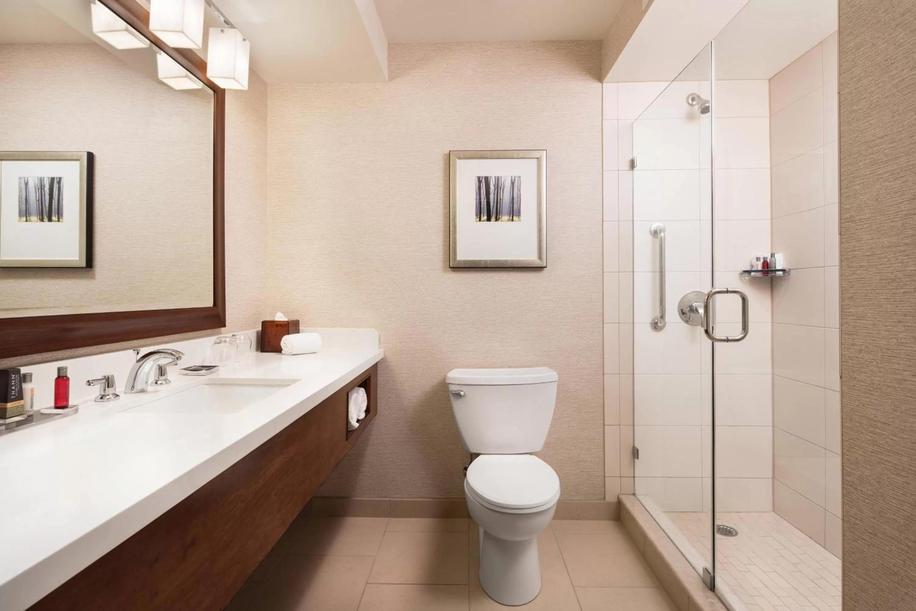 Bathroom in Chicago Marriott Naperville