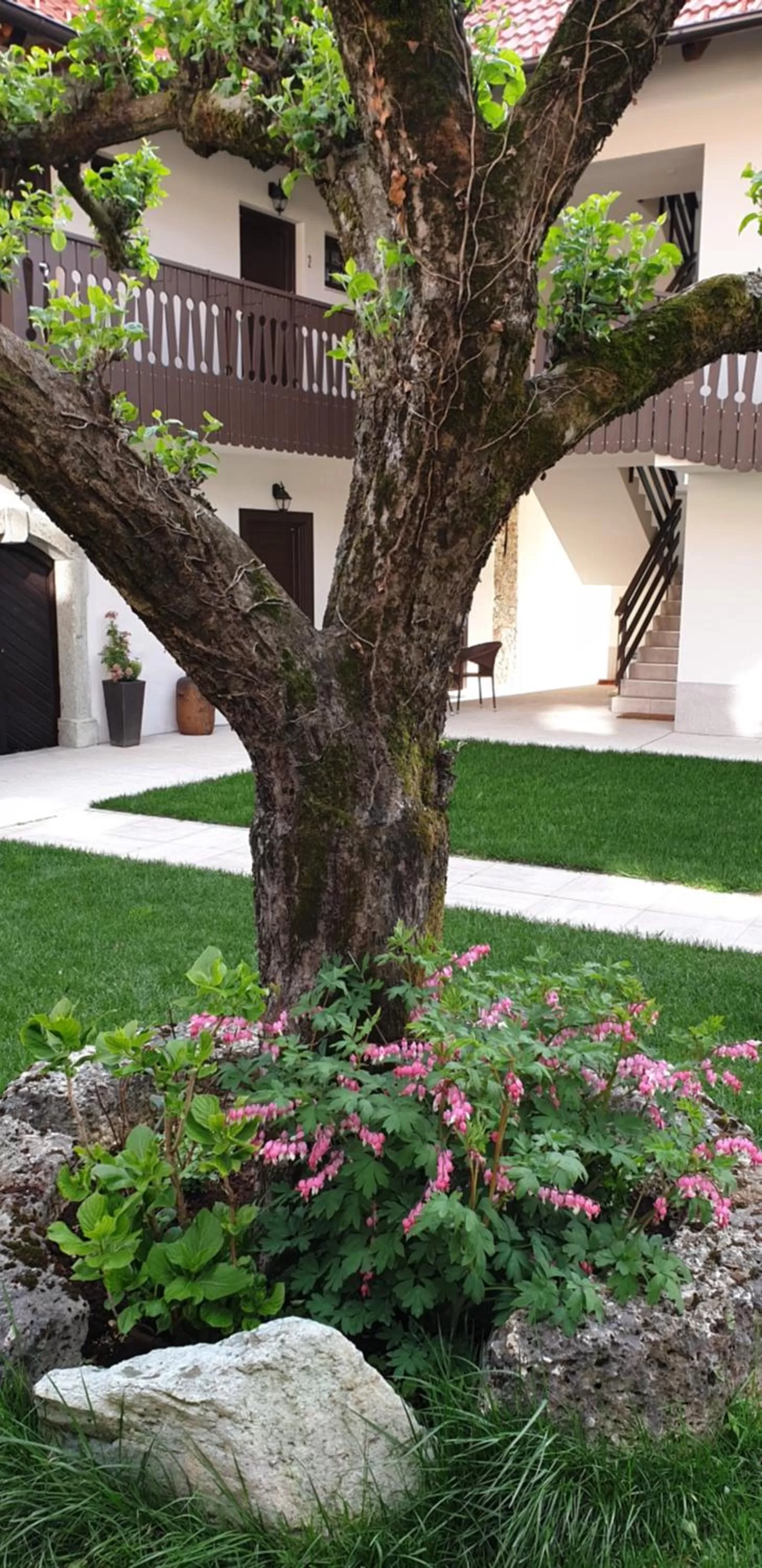 Garden, Swimming Pool in B&B Vidmar, Lesce-Bled