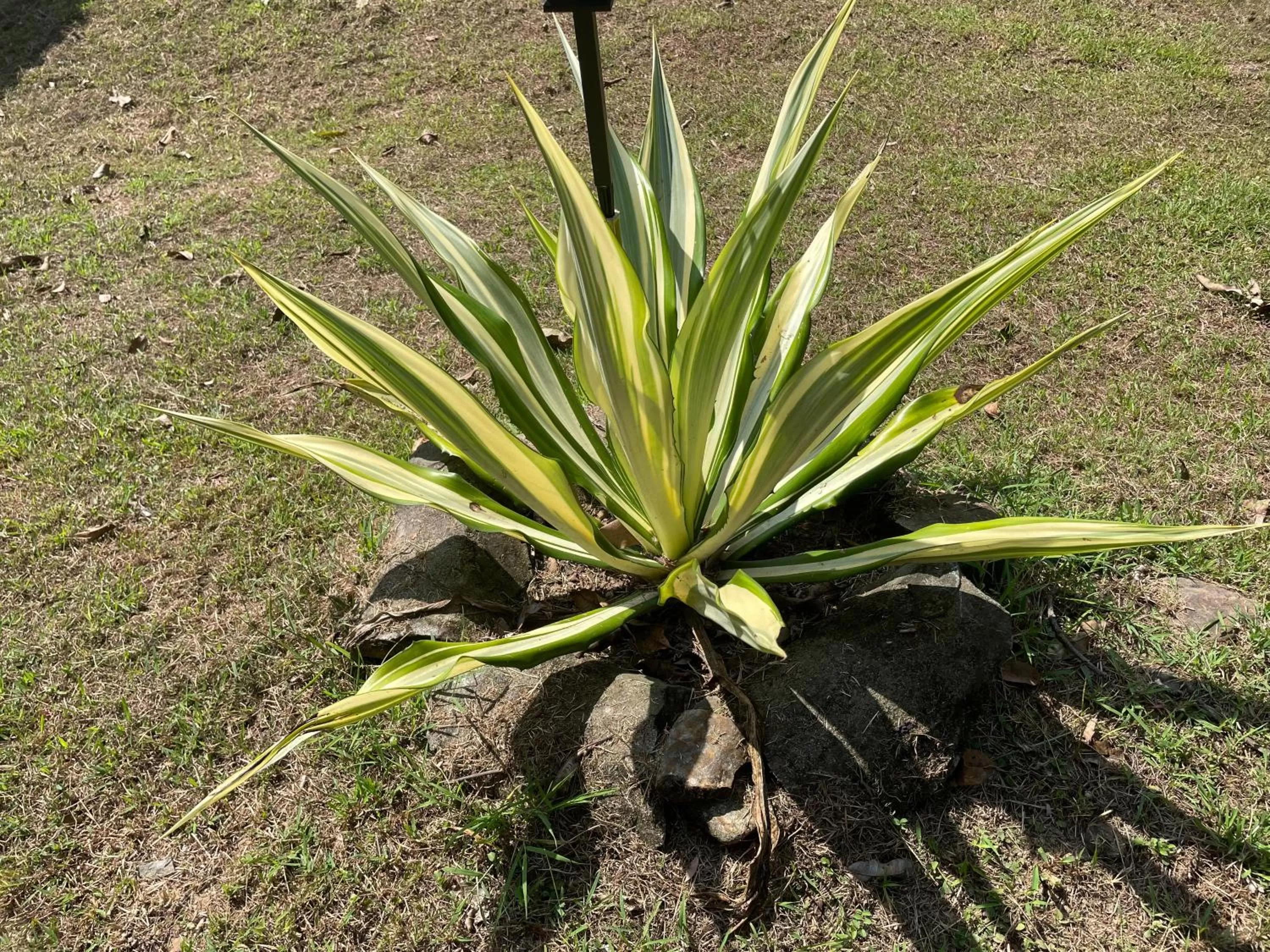 ห้วยน้ำรินรีสอร์ท The Creek Garden Resort