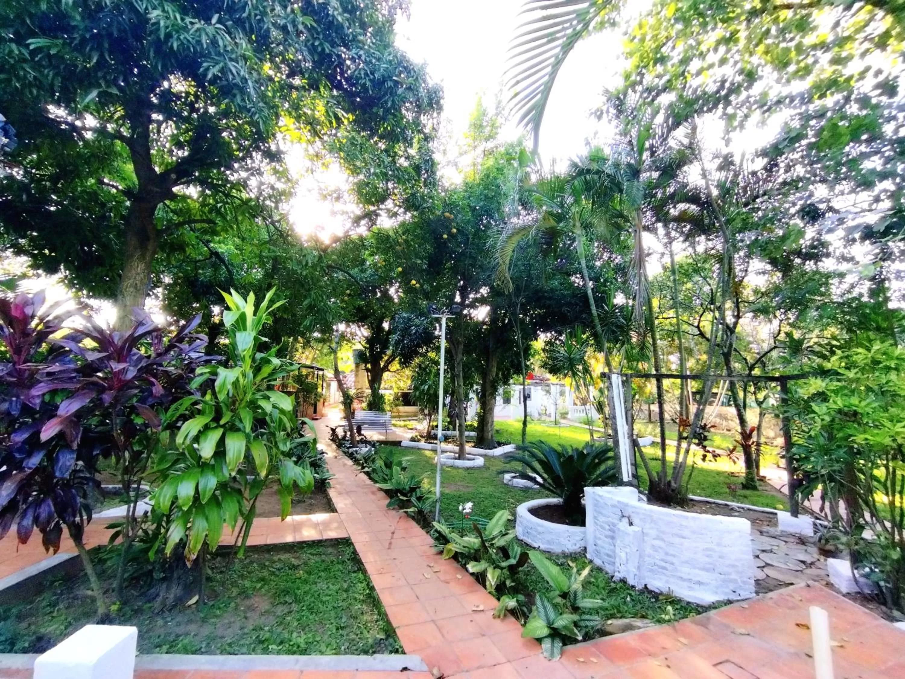 Garden in Hotel La Aparesida
