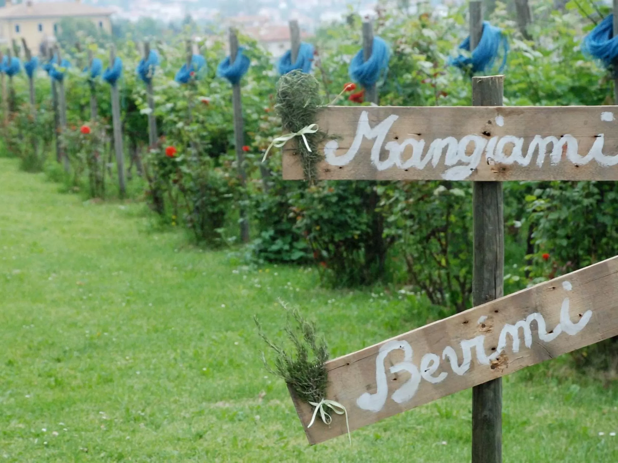 Natural landscape, Property Logo/Sign in Alice Relais Nelle Vigne