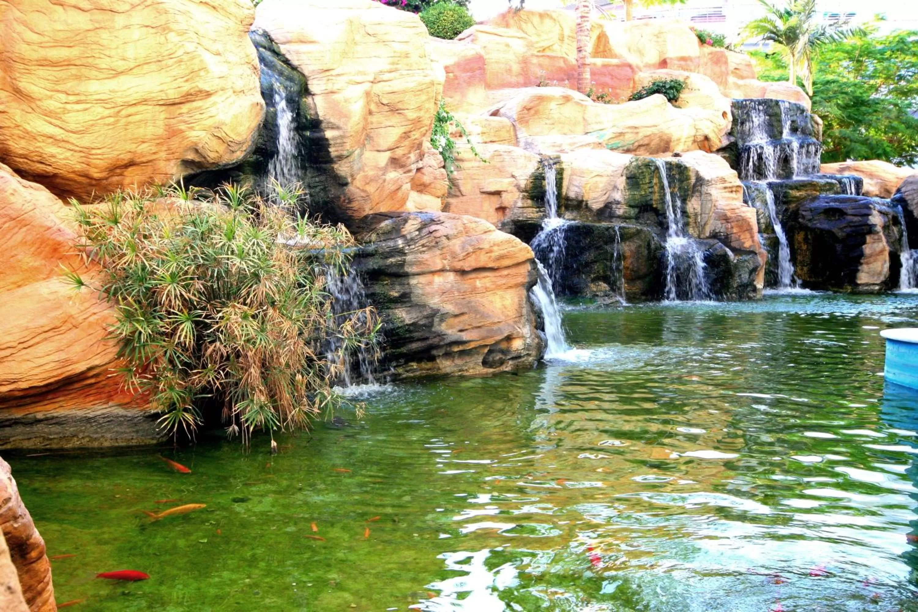 Aqua park in Club Hotel Eilat - All Suites Hotel