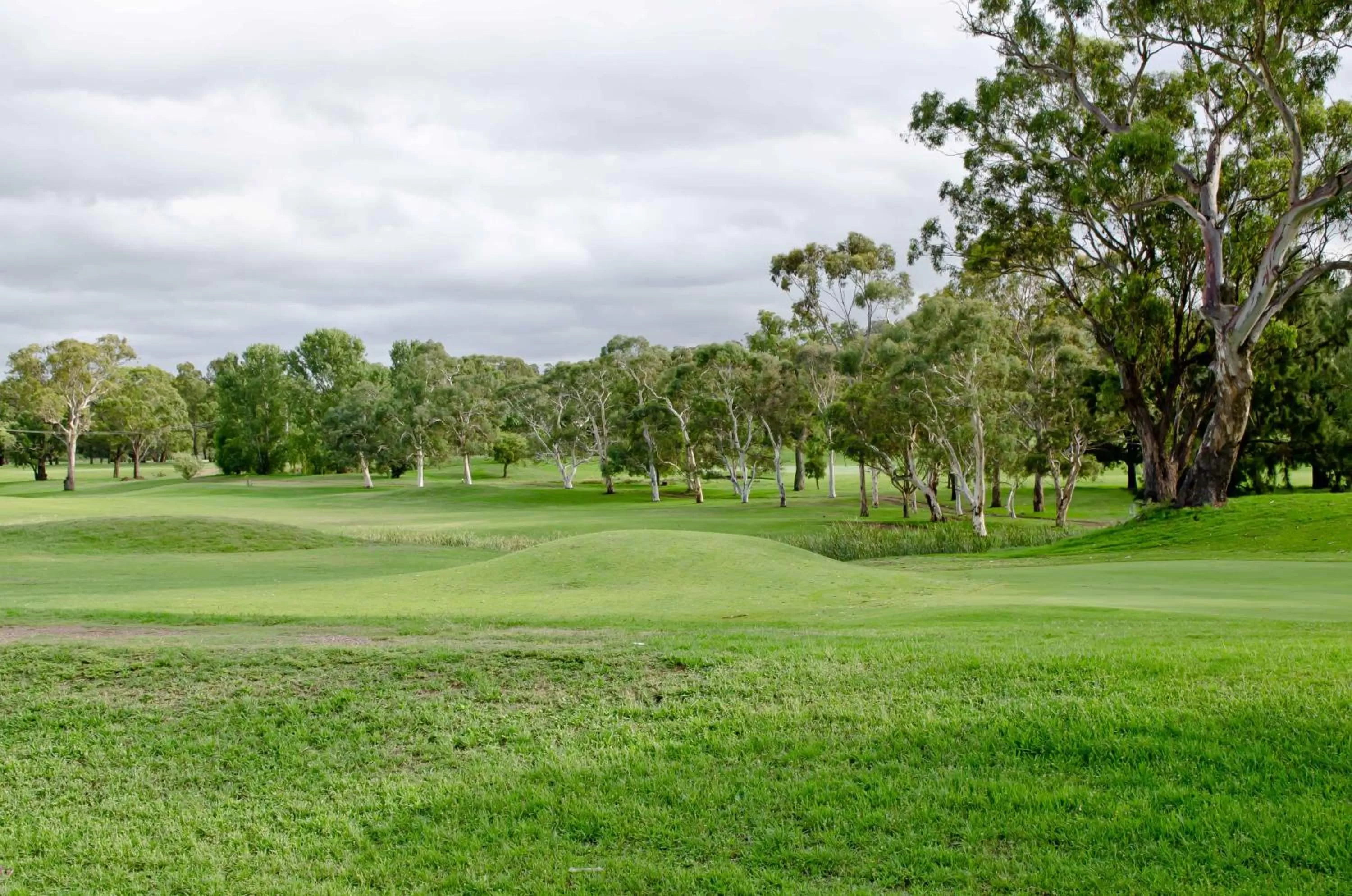Landmark view in Baybrook Motor Inn