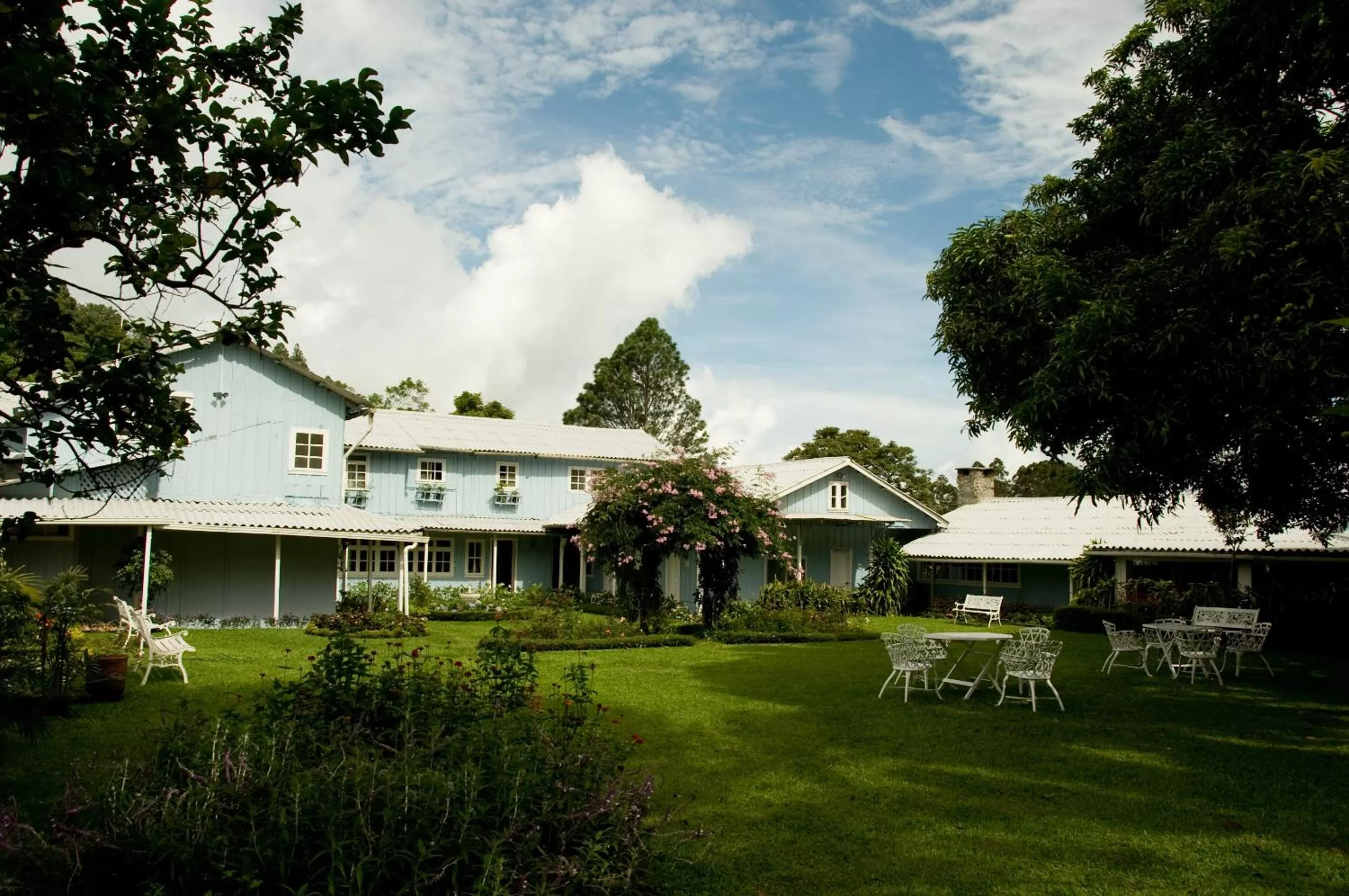 Garden in Hotel Panamonte