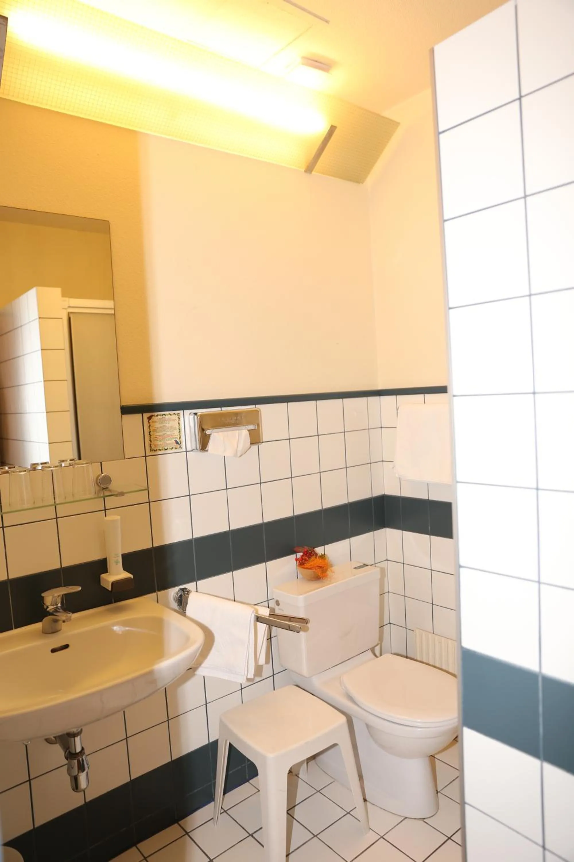 Toilet, Kitchen/Kitchenette in Hotel Am Schottenpoint