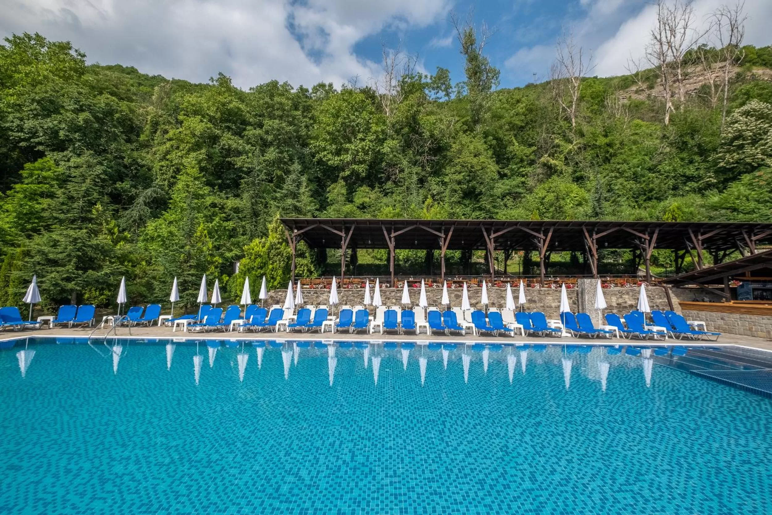 Swimming pool in Park Hotel Asenevtsi