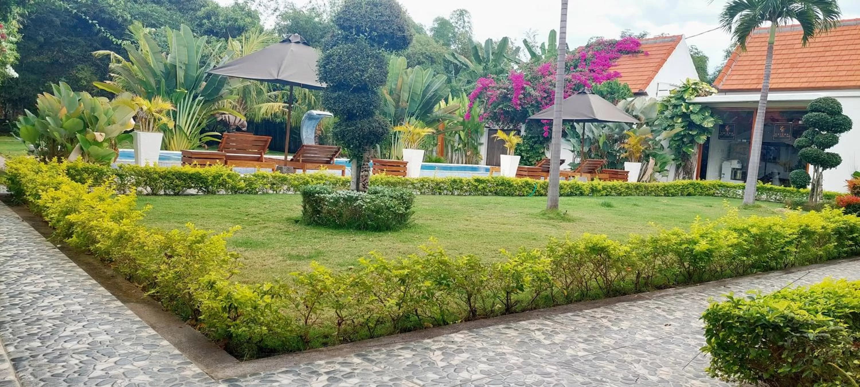 Garden in The Edicha