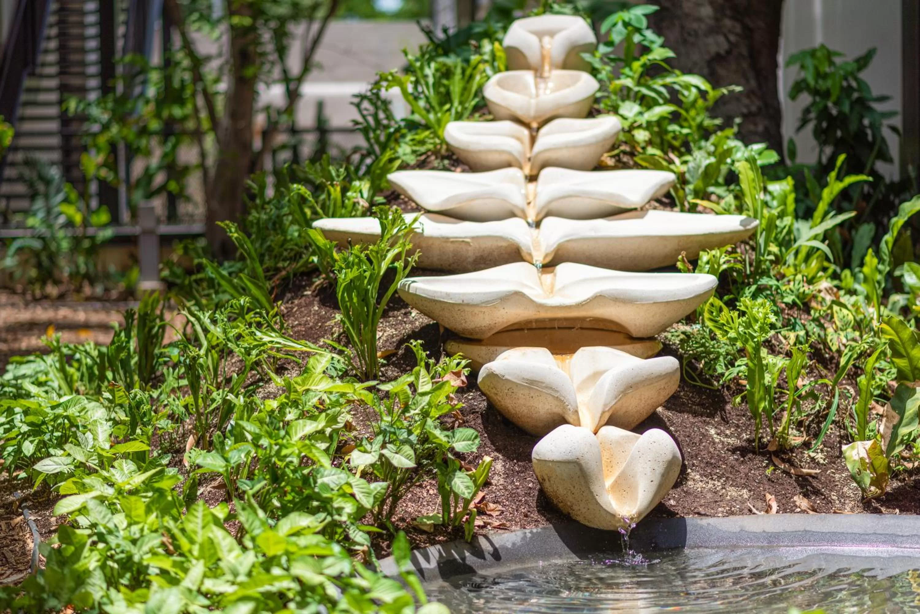 Other in Wayam Mundo Imperial