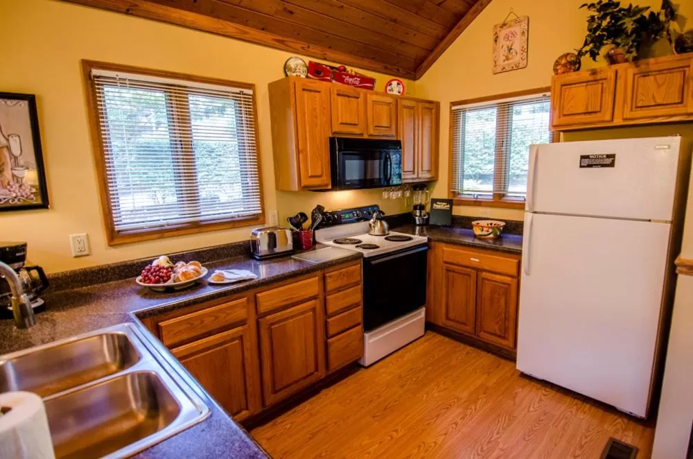 Kitchen or kitchenette in Asheville Cabins of Willow Winds