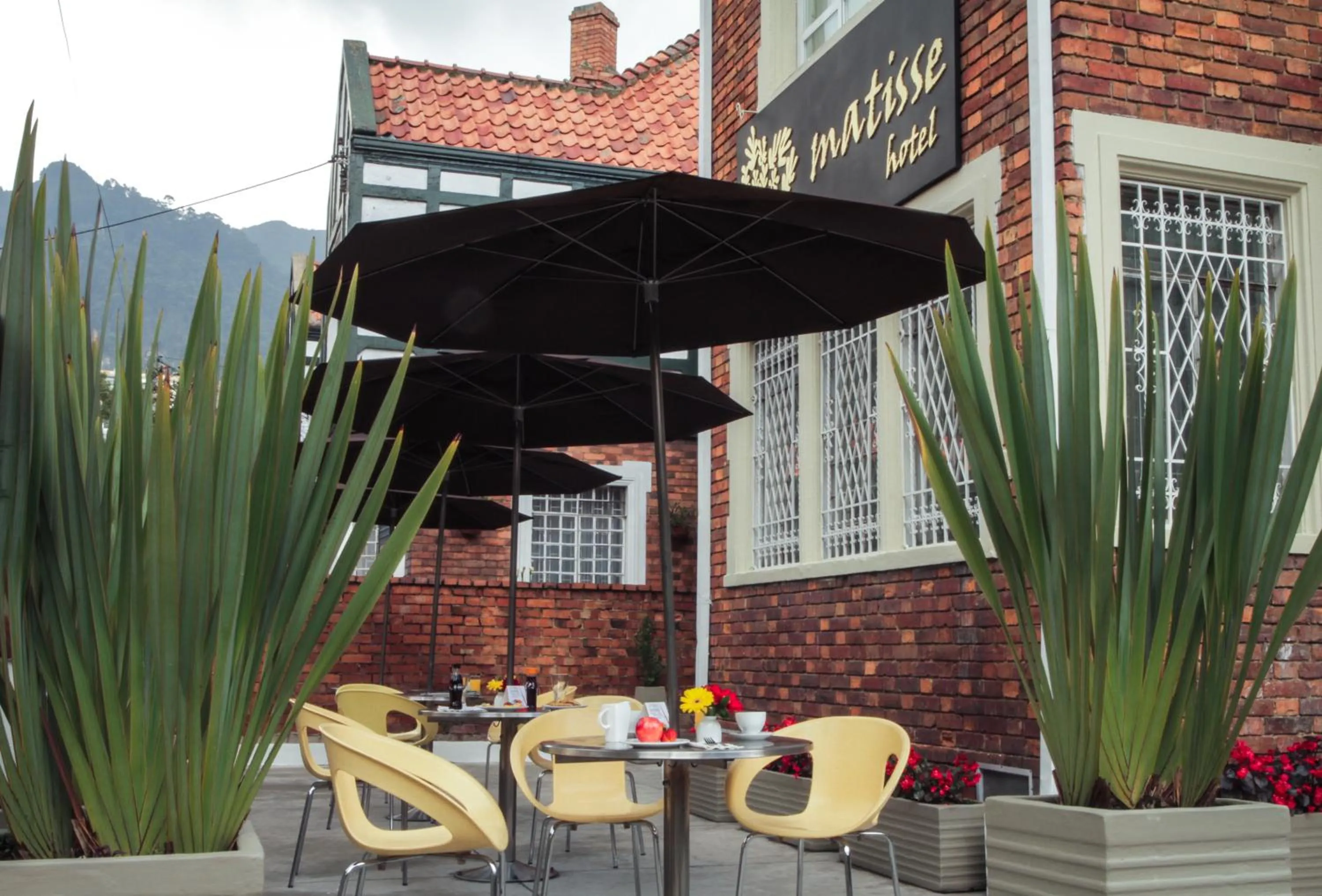 Patio in Matisse Hotel