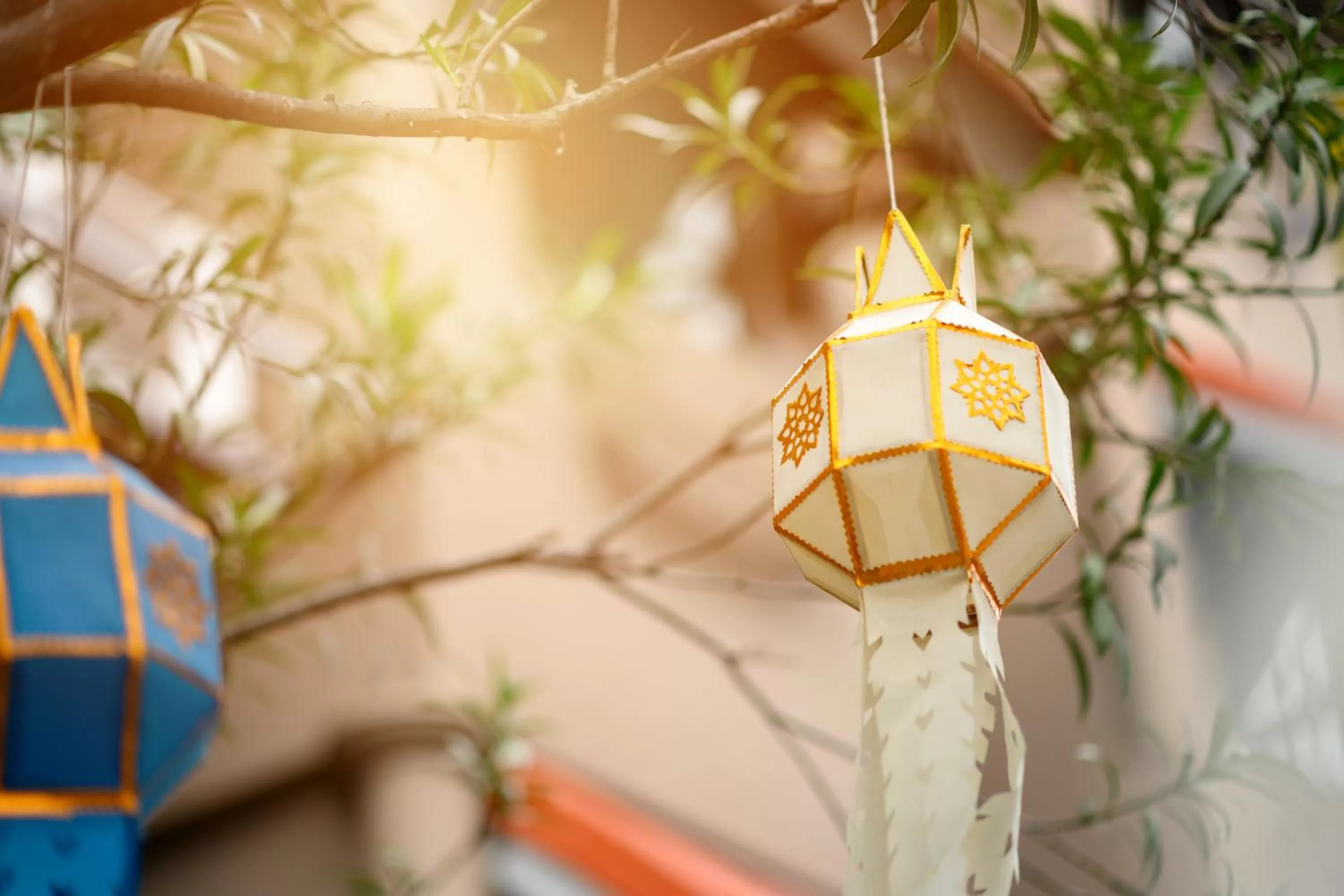Garden in Estia Chiangmai