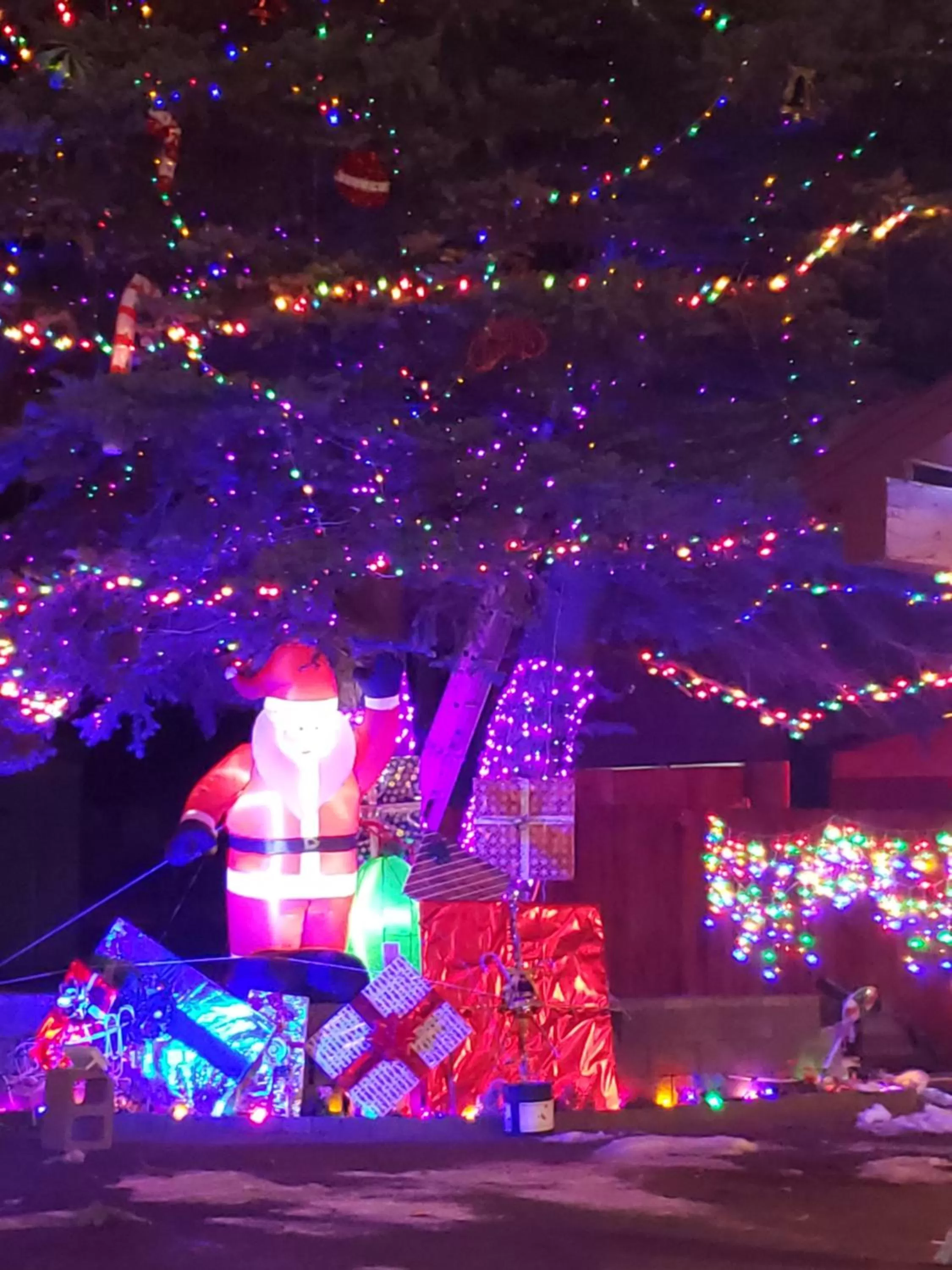 Evening Entertainment in CRESCENT MOON MOTEL