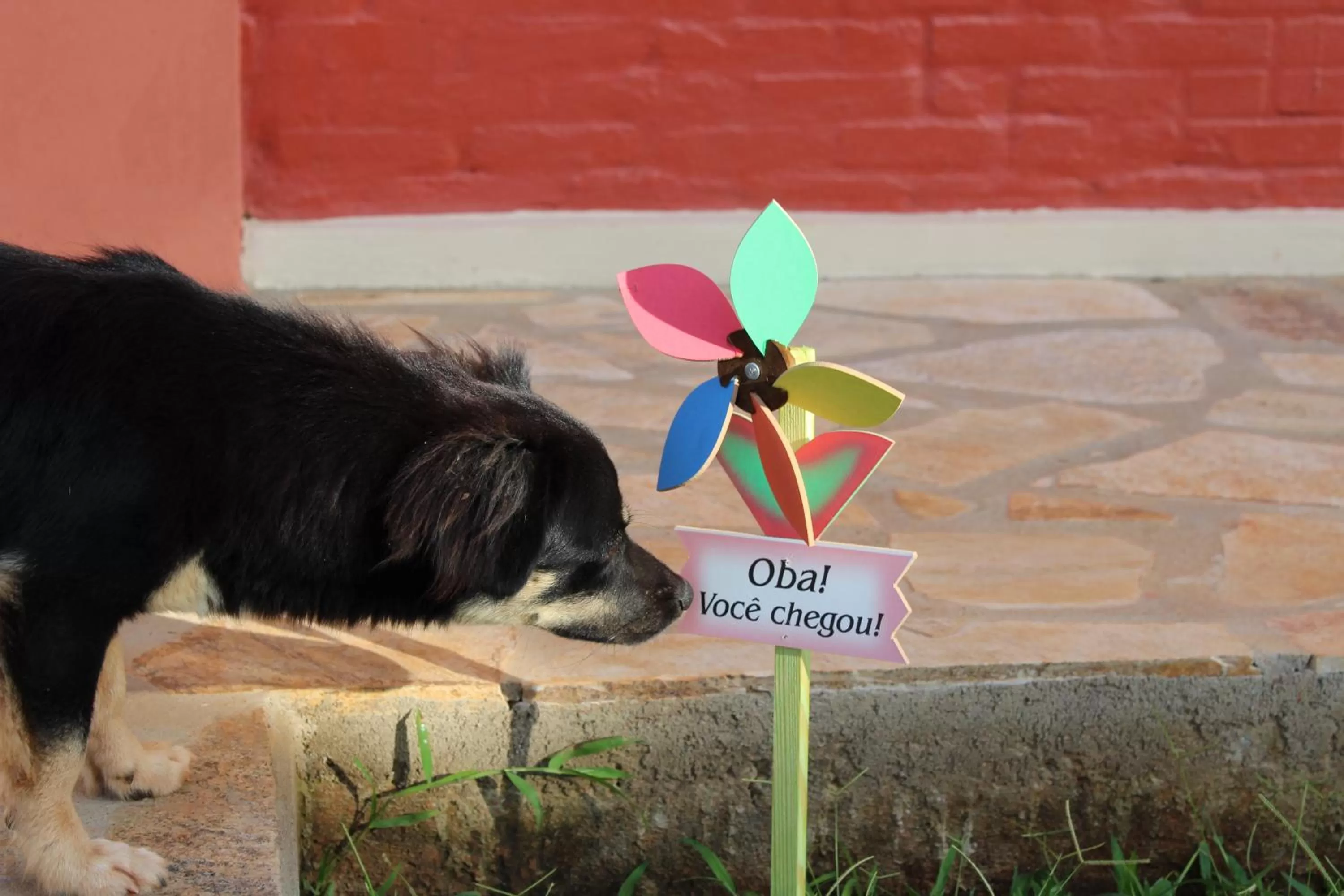 Property building in Pousada Morro dos Ventos